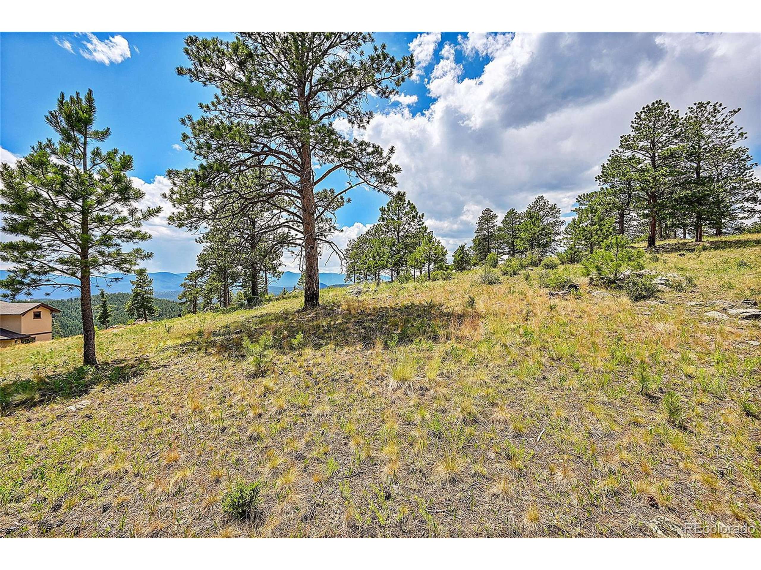 Pine, CO 80470,33550 Mount Wilson Trl