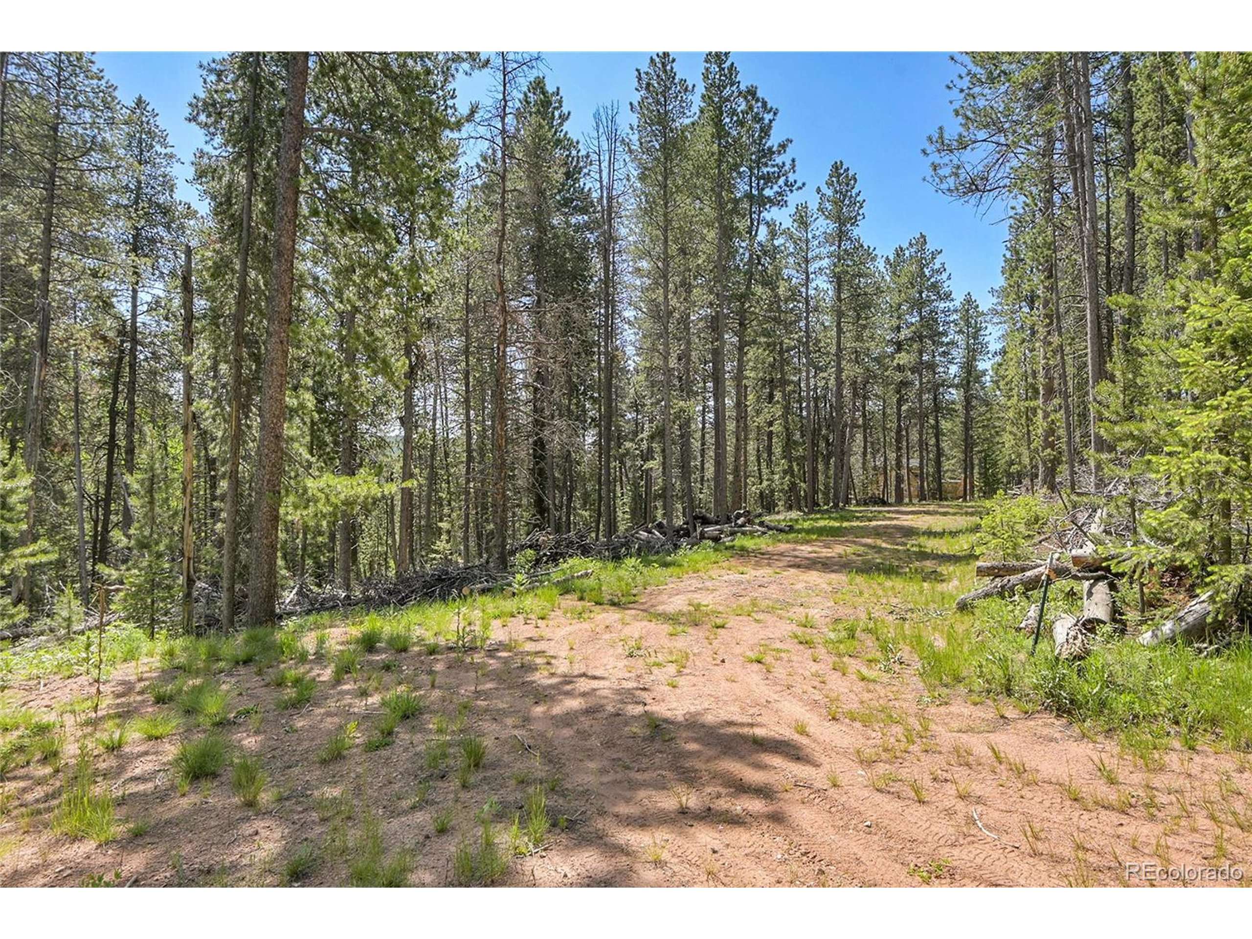 Conifer, CO 80433,7 S Wallace Ave