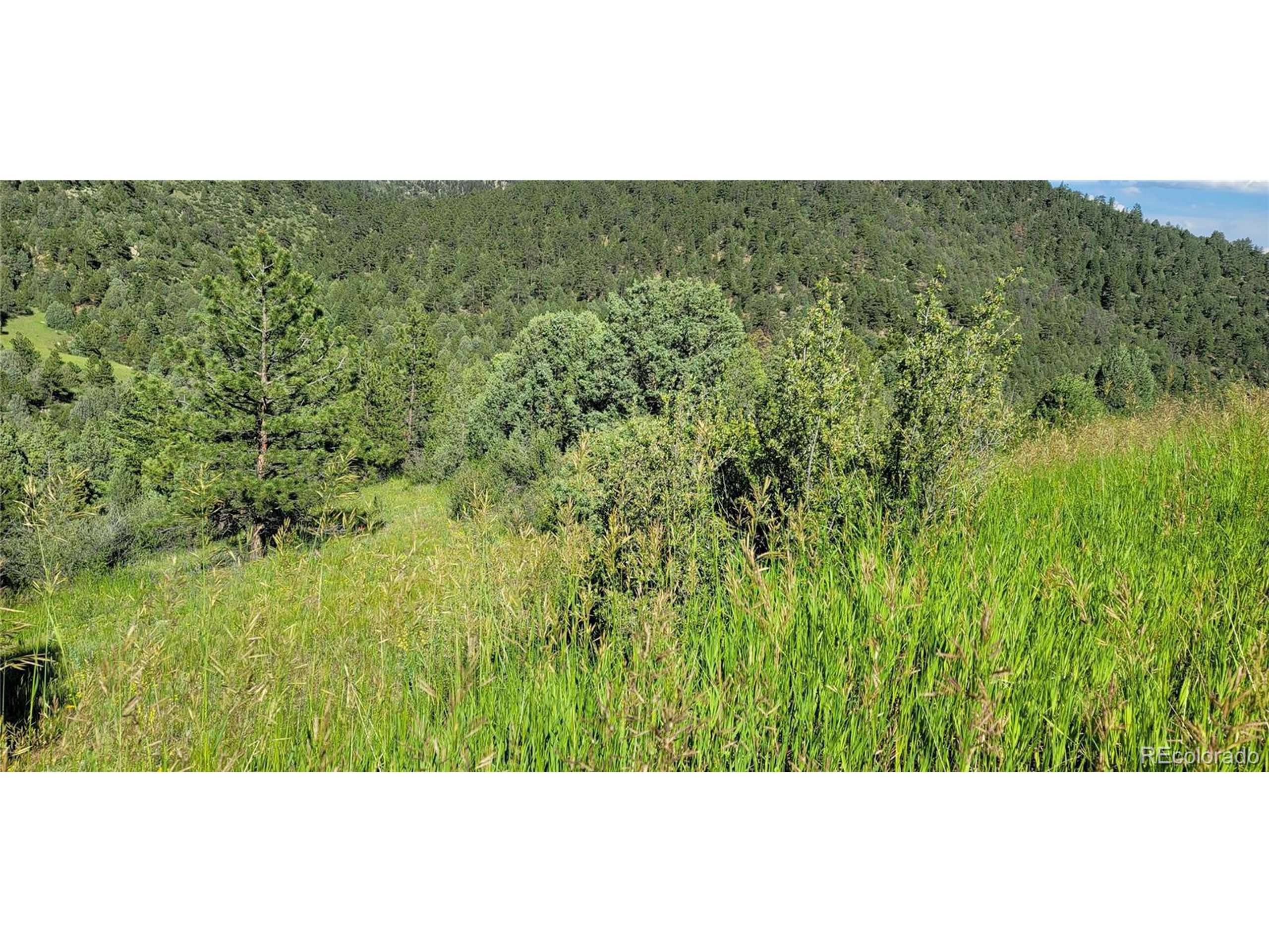 Golden, CO 80403,2050 Coyote Spur