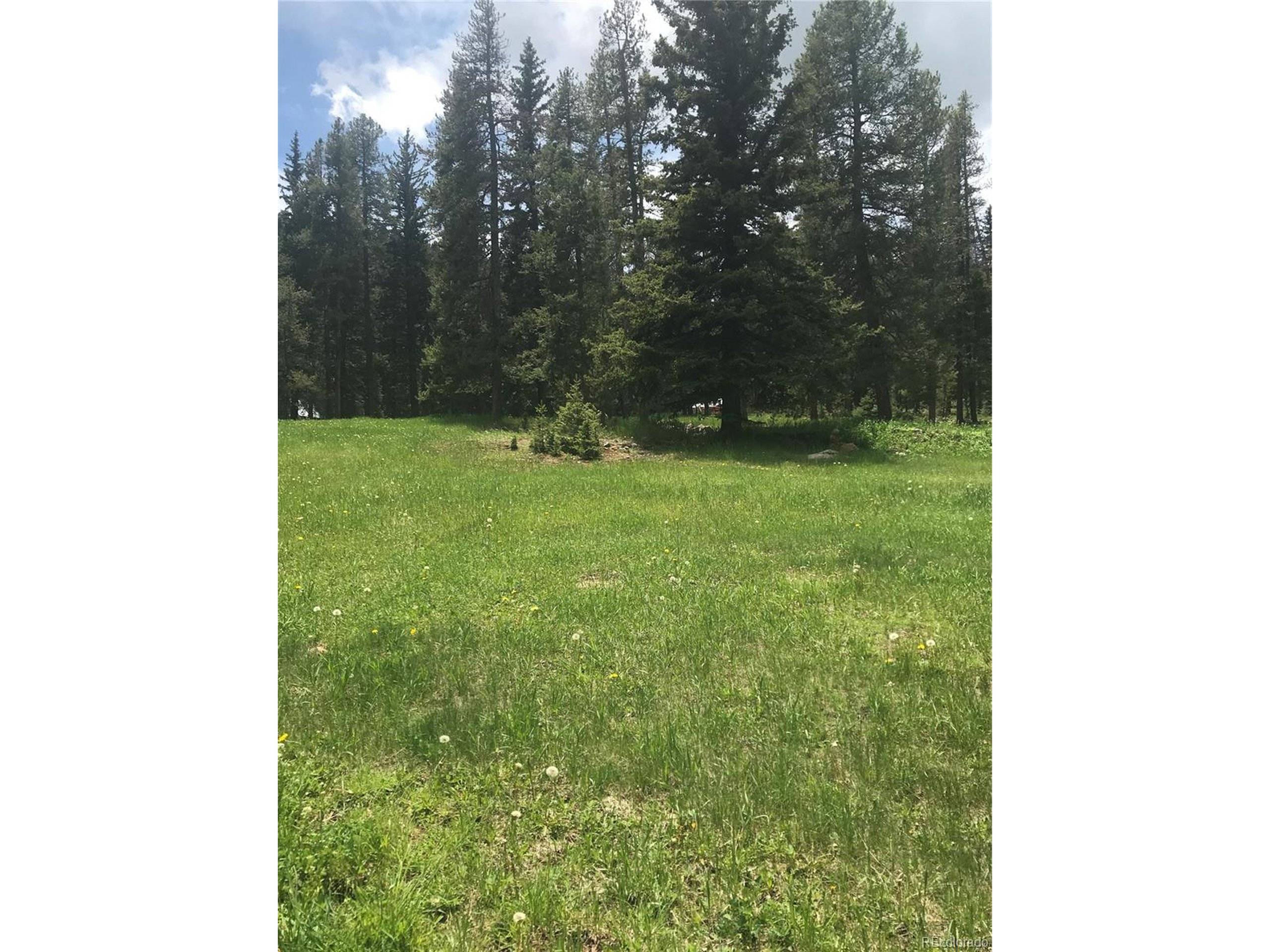 Conifer, CO 80433,0 Shadow Mountain Dr