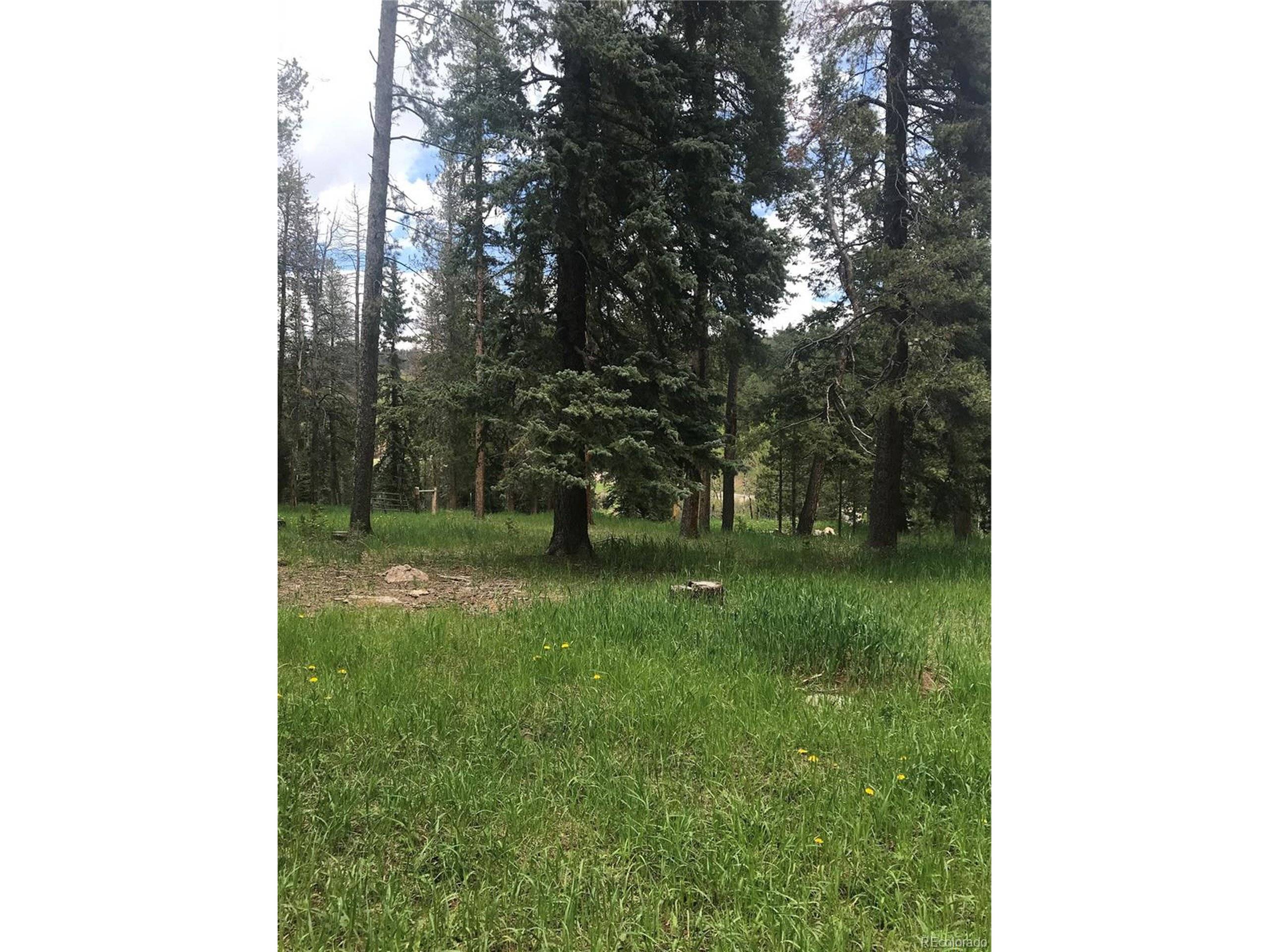 Conifer, CO 80433,0 Shadow Mountain Dr
