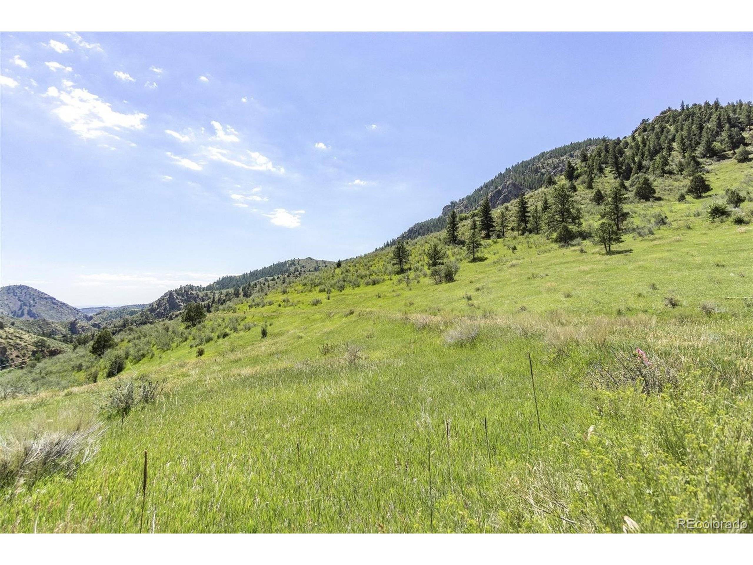 Idledale, CO 80453,21814 Shady Ln