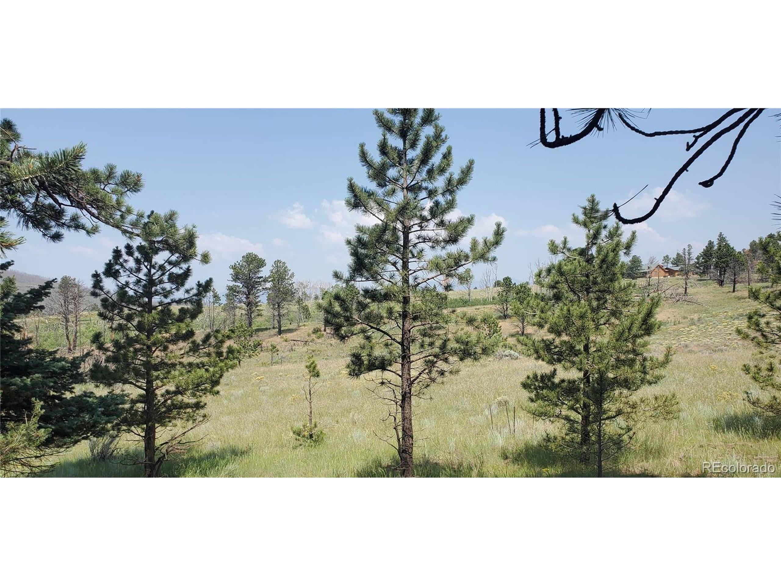 Fort Garland, CO 81133,1102 Emery Loop