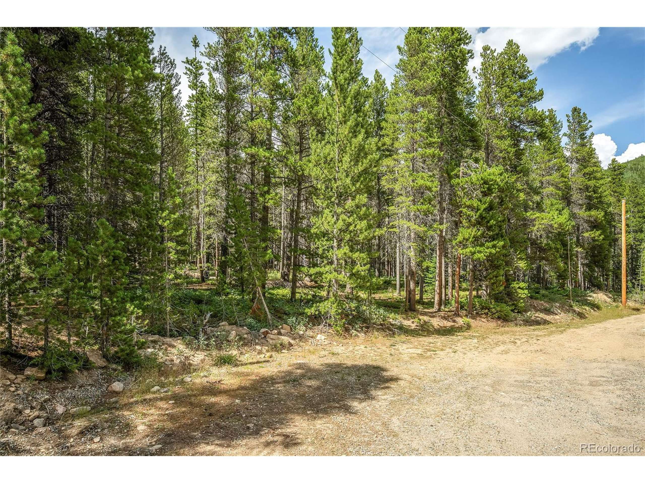 Idaho Springs, CO 80452,114 Elk Cir