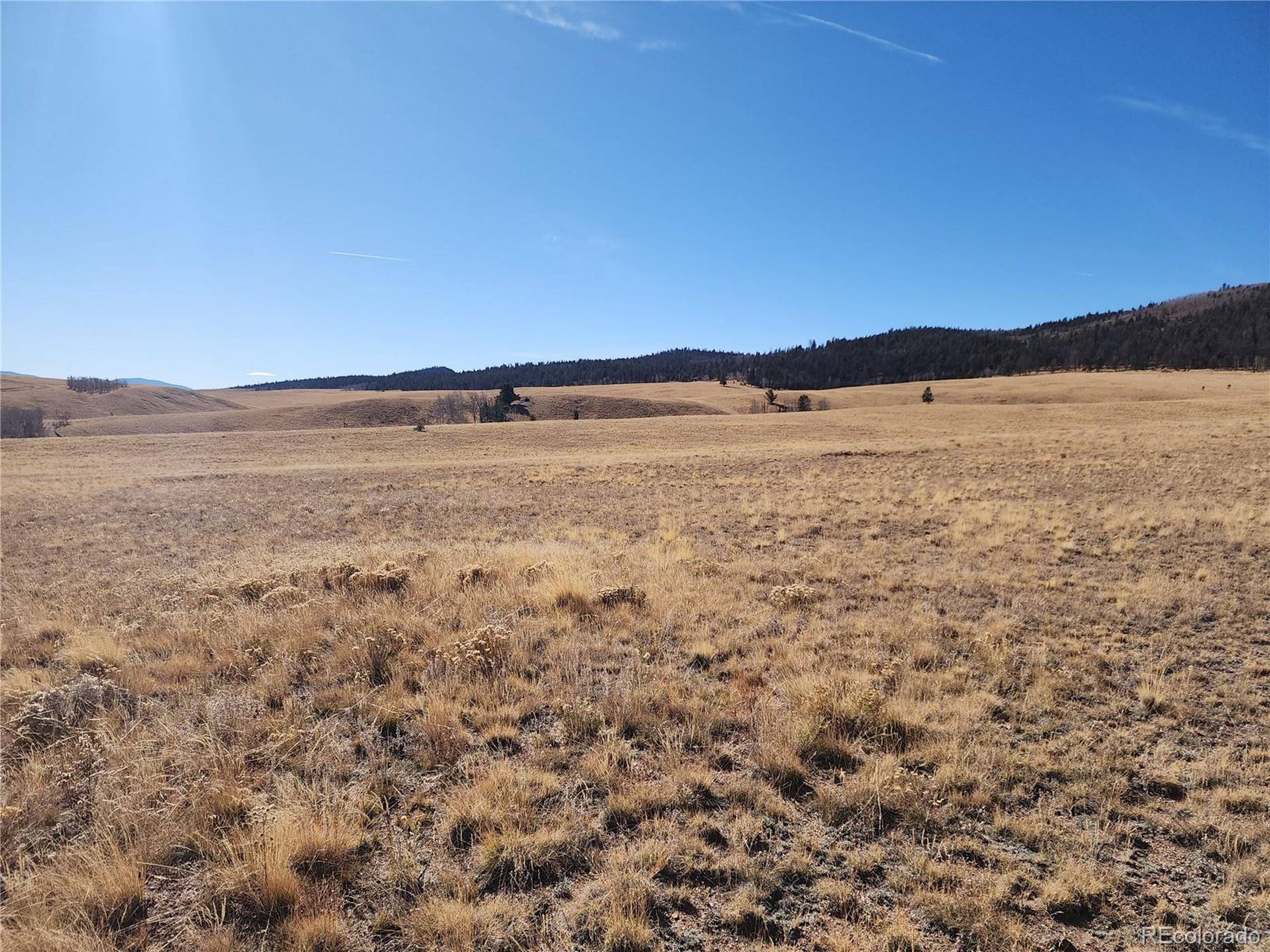 Hartsel, CO 80449,8802 Ranch Rd