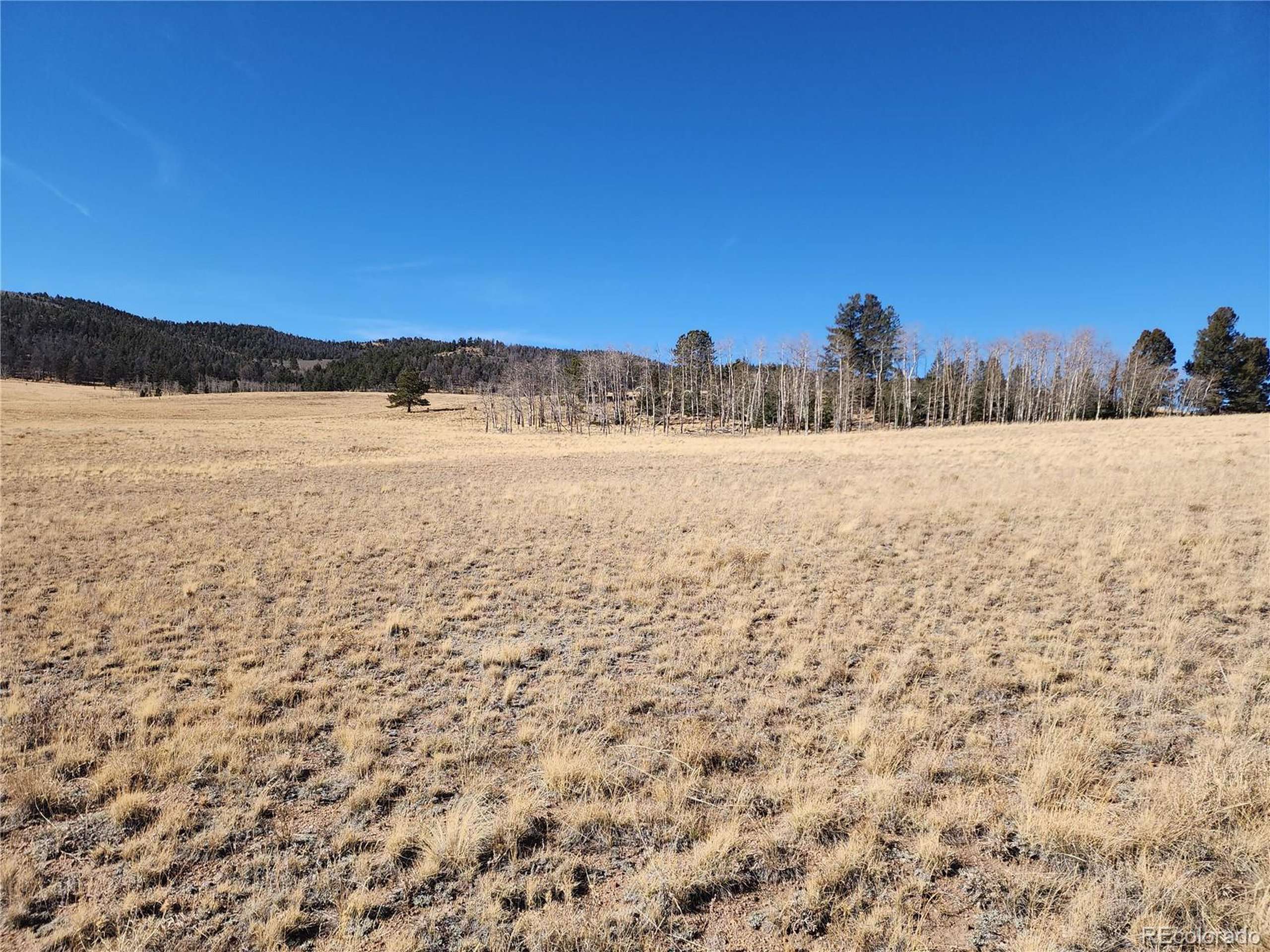 Hartsel, CO 80449,8802 Ranch Rd