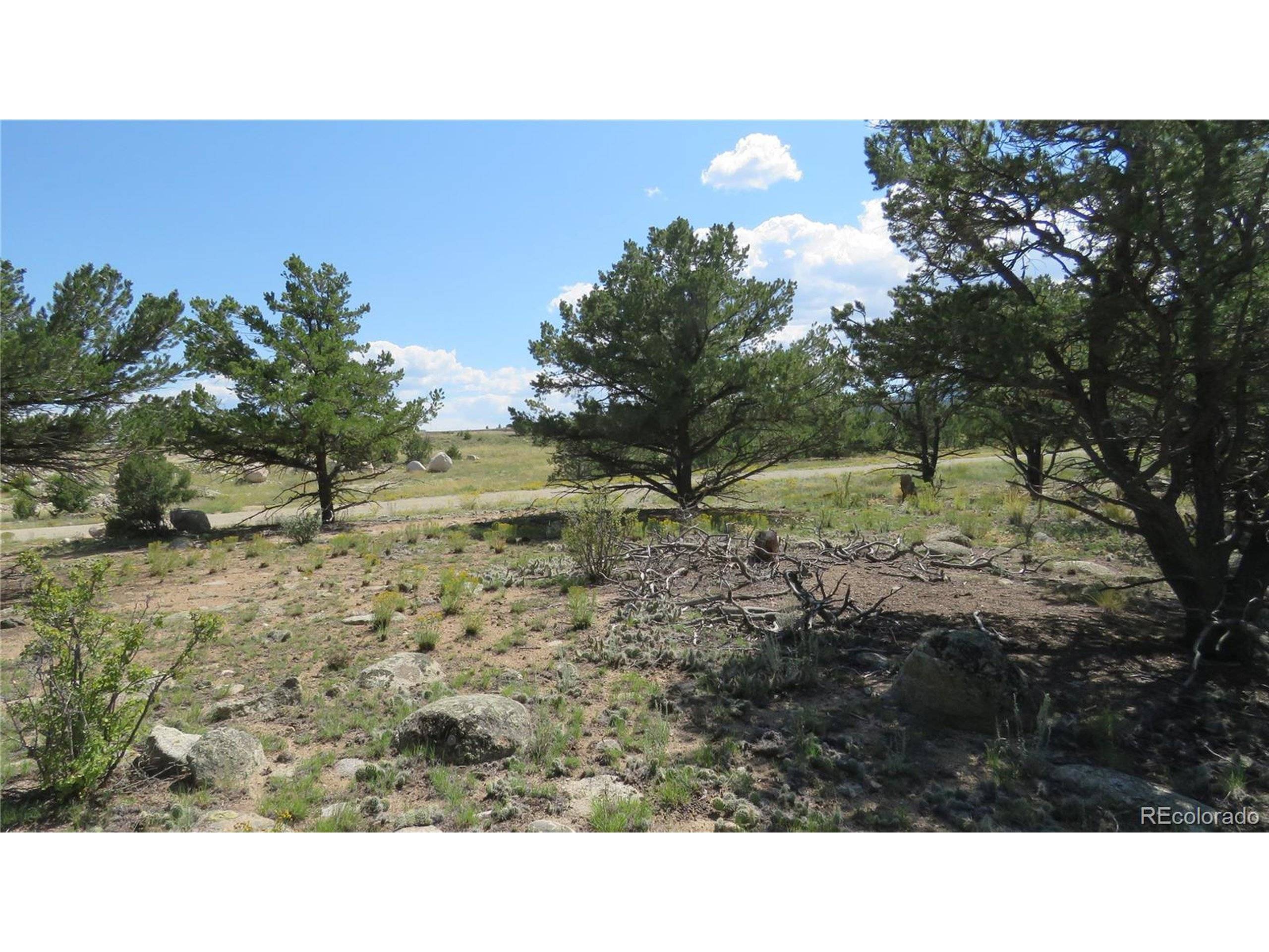 Nathrop, CO 81236,14964 Chalk Creek Dr