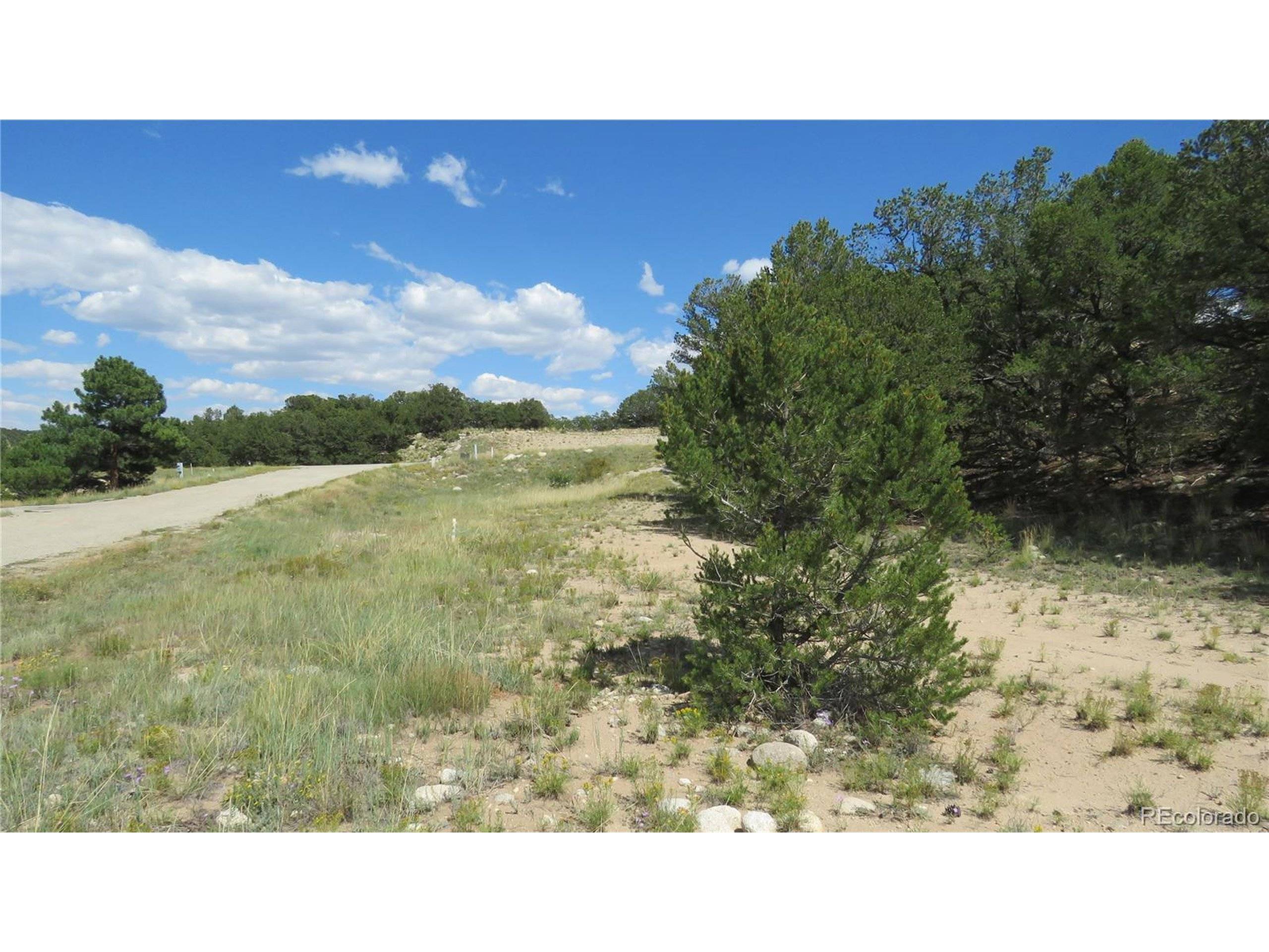 Nathrop, CO 81236,14964 Chalk Creek Dr