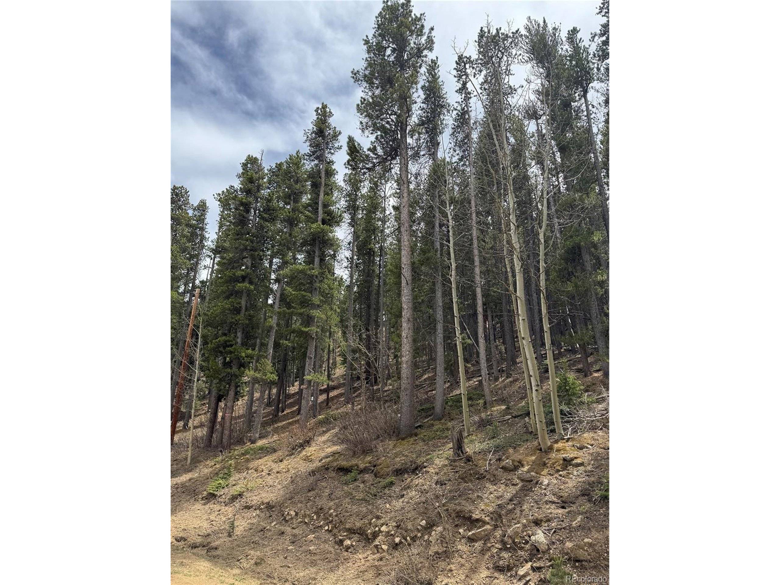 Black Hawk, CO 80422,Address not disclosed
