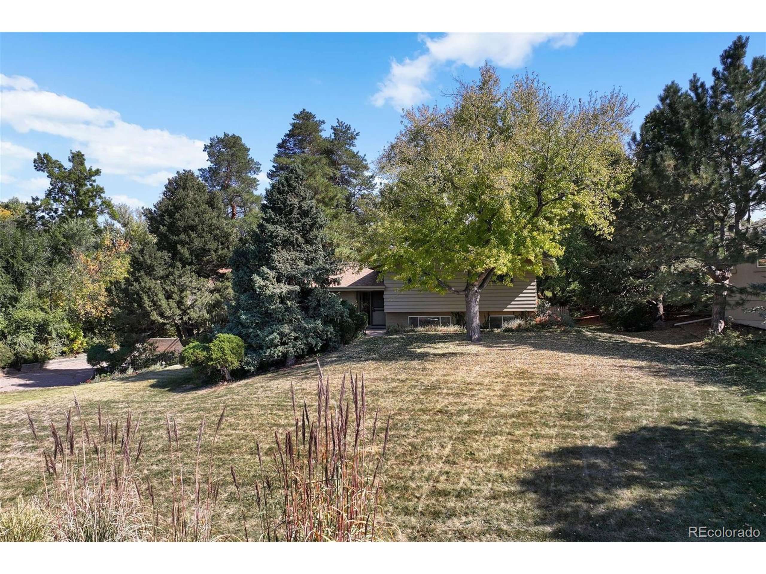 Littleton, CO 80120,11 Lindenwood Dr