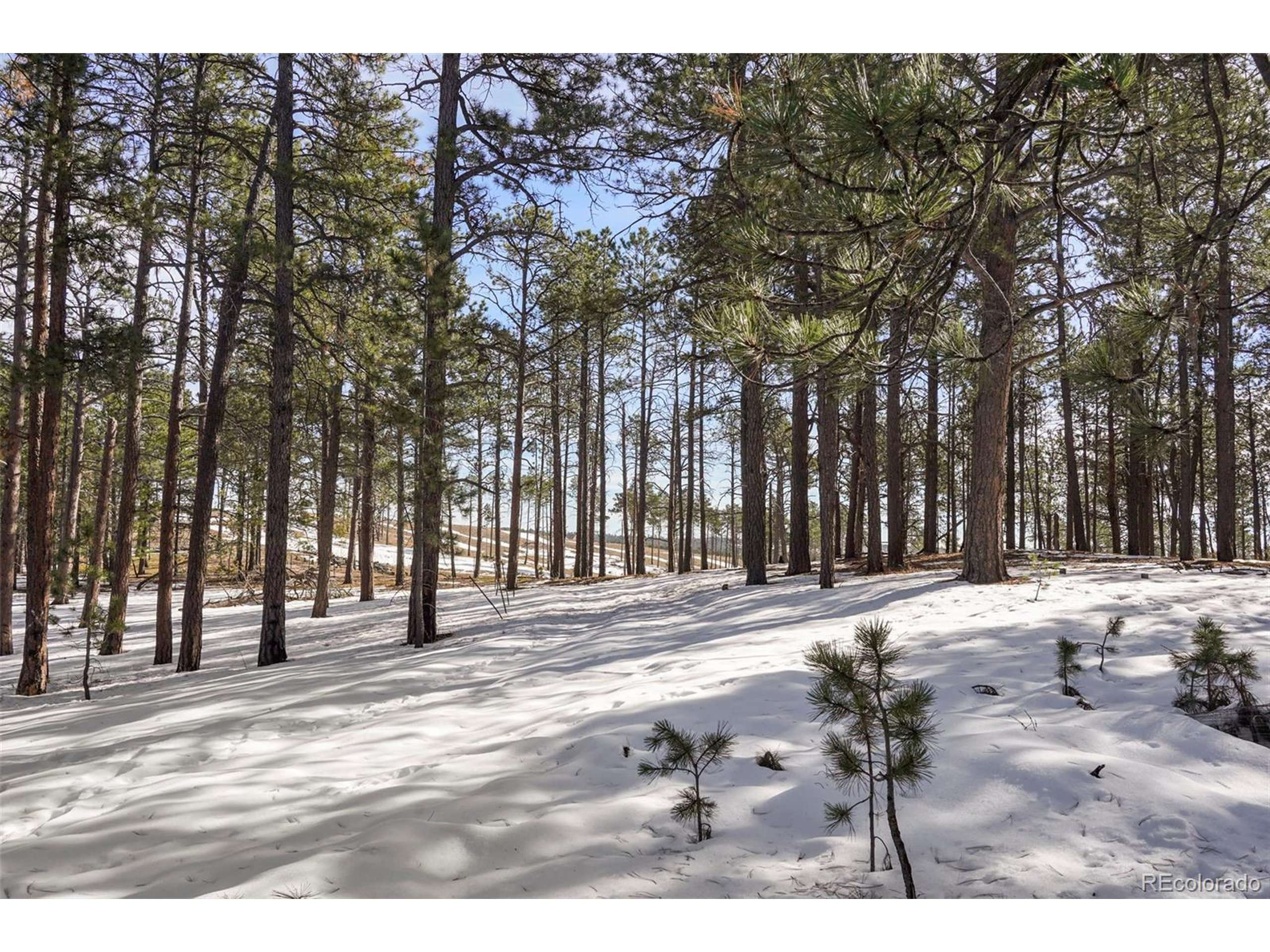 Colorado Springs, CO 80908,0 Club Dr