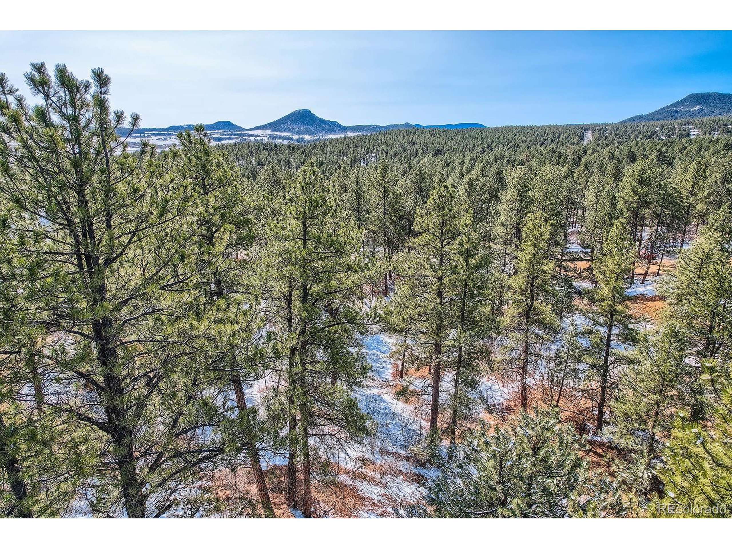 Larkspur, CO 80118,665 Poncho Rd