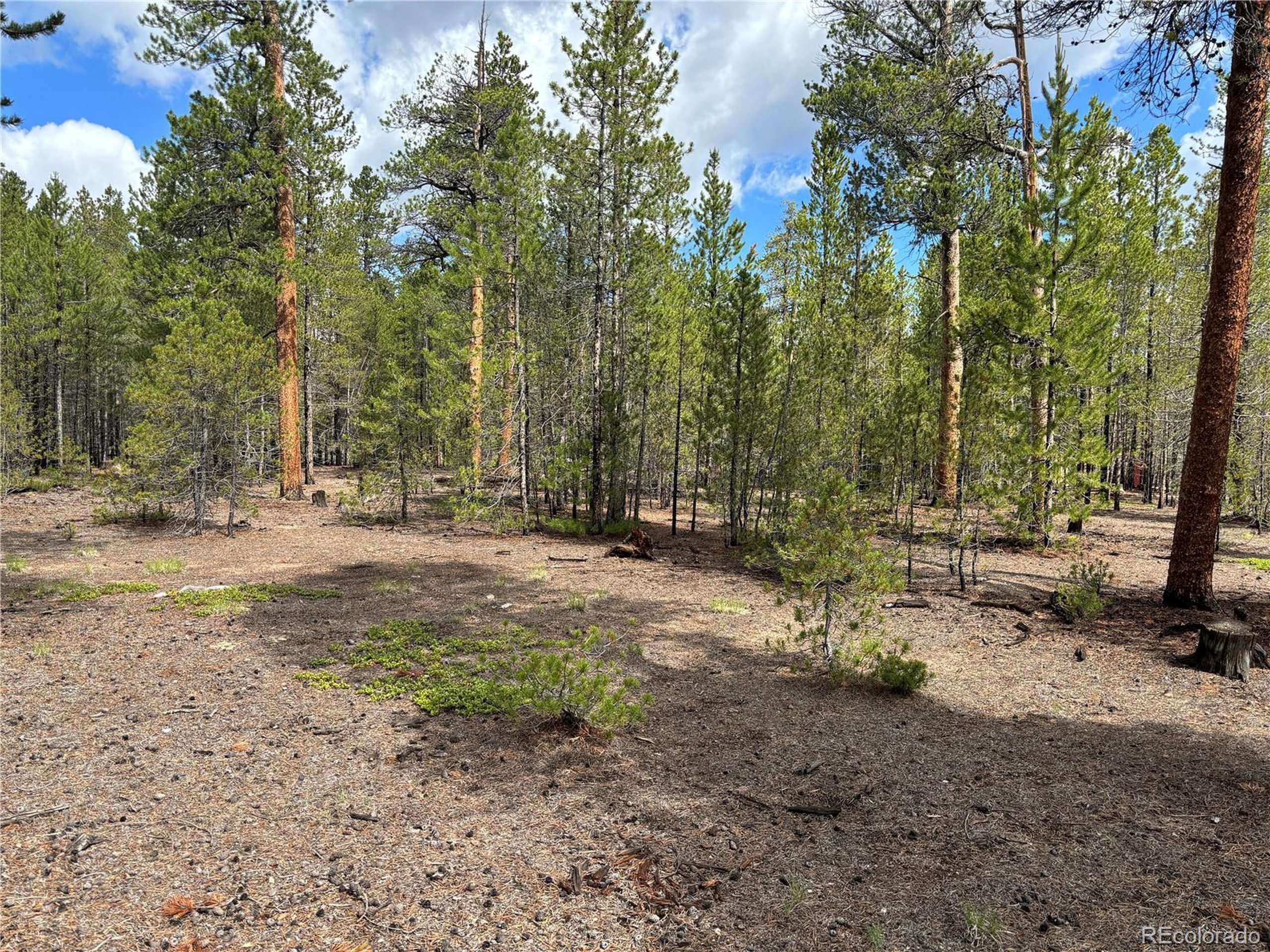 Twin Lakes, CO 80461,399 Fir Dr