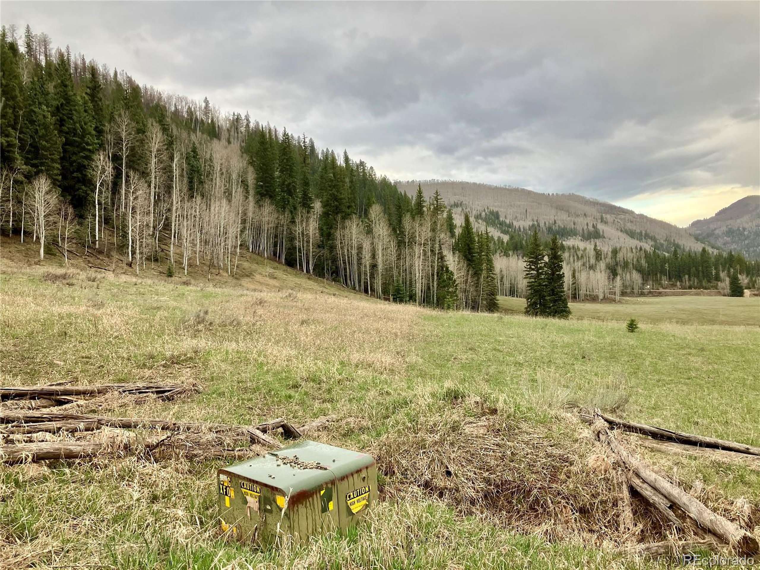 Dolores, CO 81323,Blue Spruce Gln