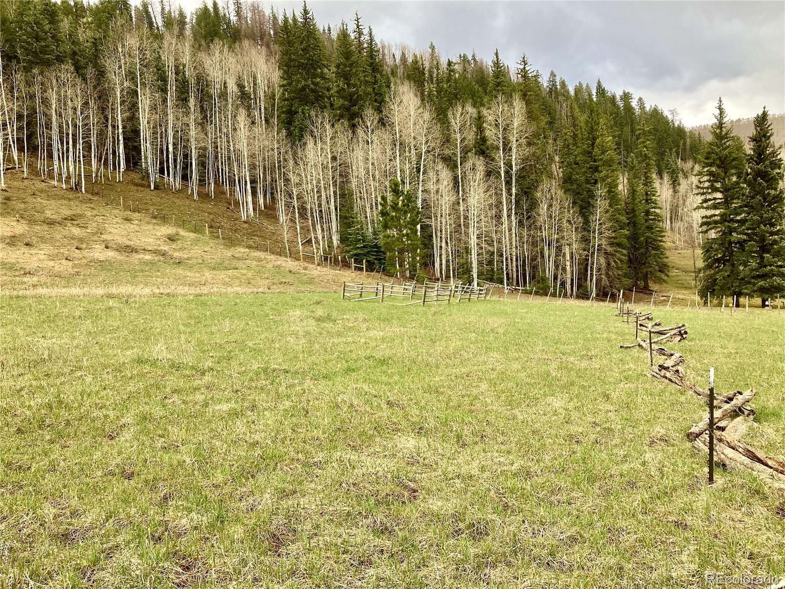 Dolores, CO 81323,Blue Spruce Gln