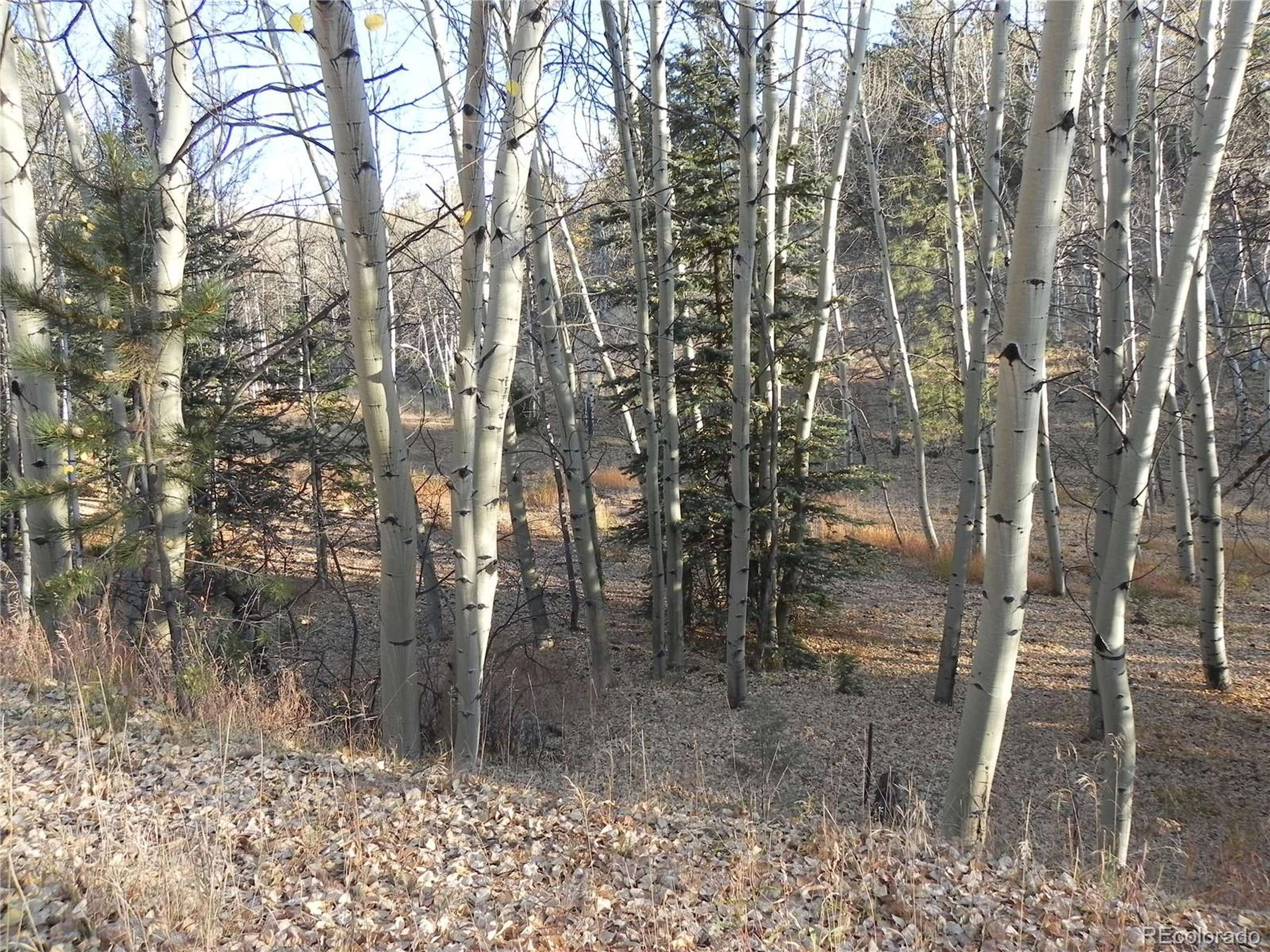 Florissant, CO 80816,430 Pinon Ln
