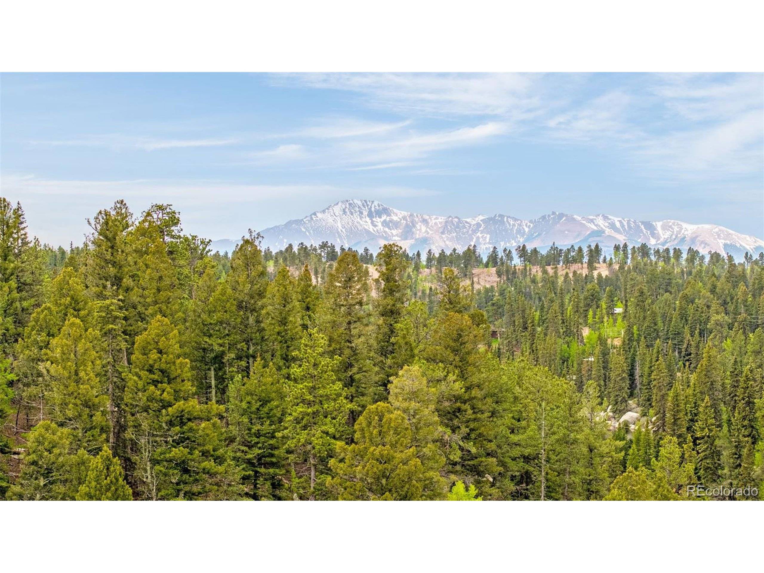 Woodland Park, CO 80863,8855 Carroll Lakes Rd #30