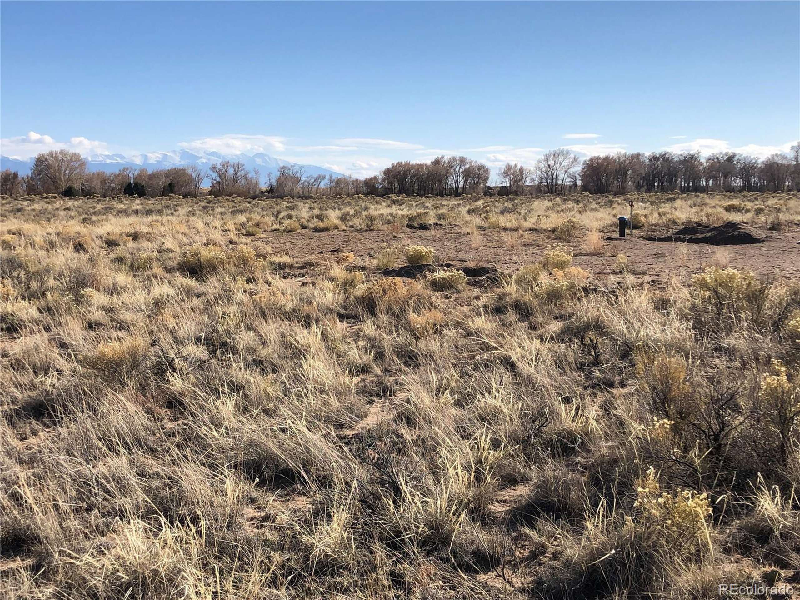 Crestone, CO 81131,1241 Homestead Rd