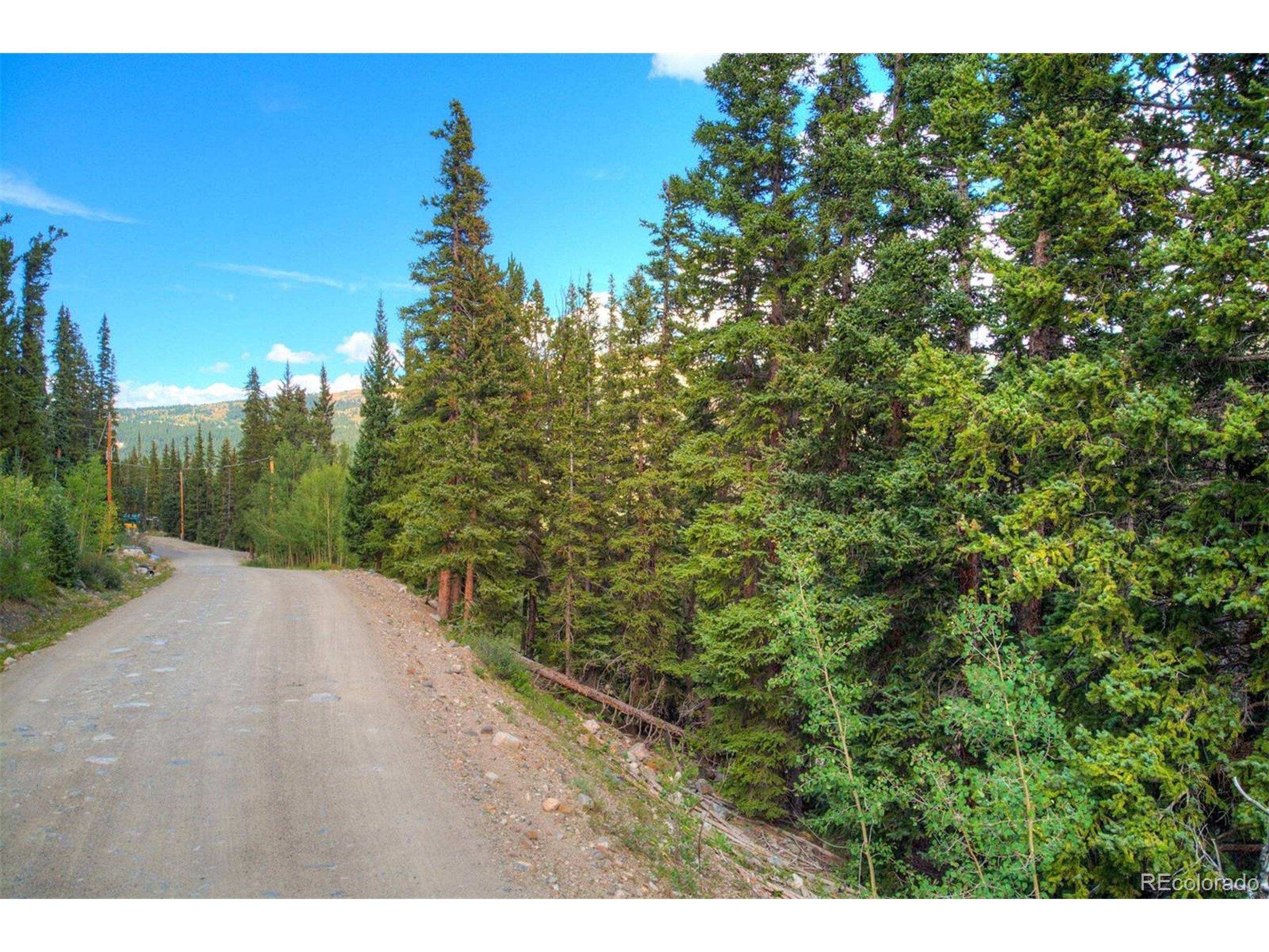 Alma, CO 80440,1314 Quartzville Rd