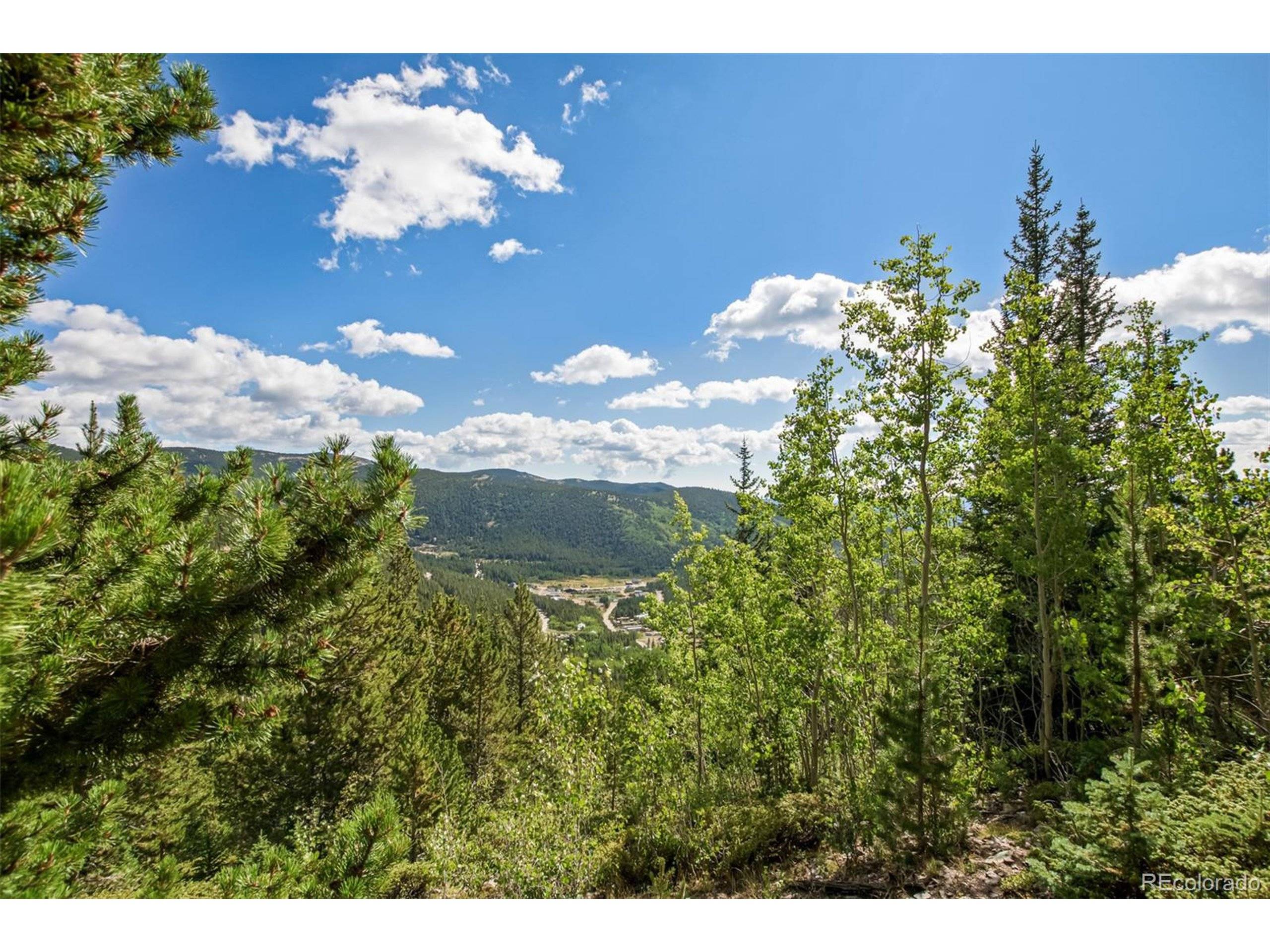 Idaho Springs, CO 80452,468 Hillside Rd