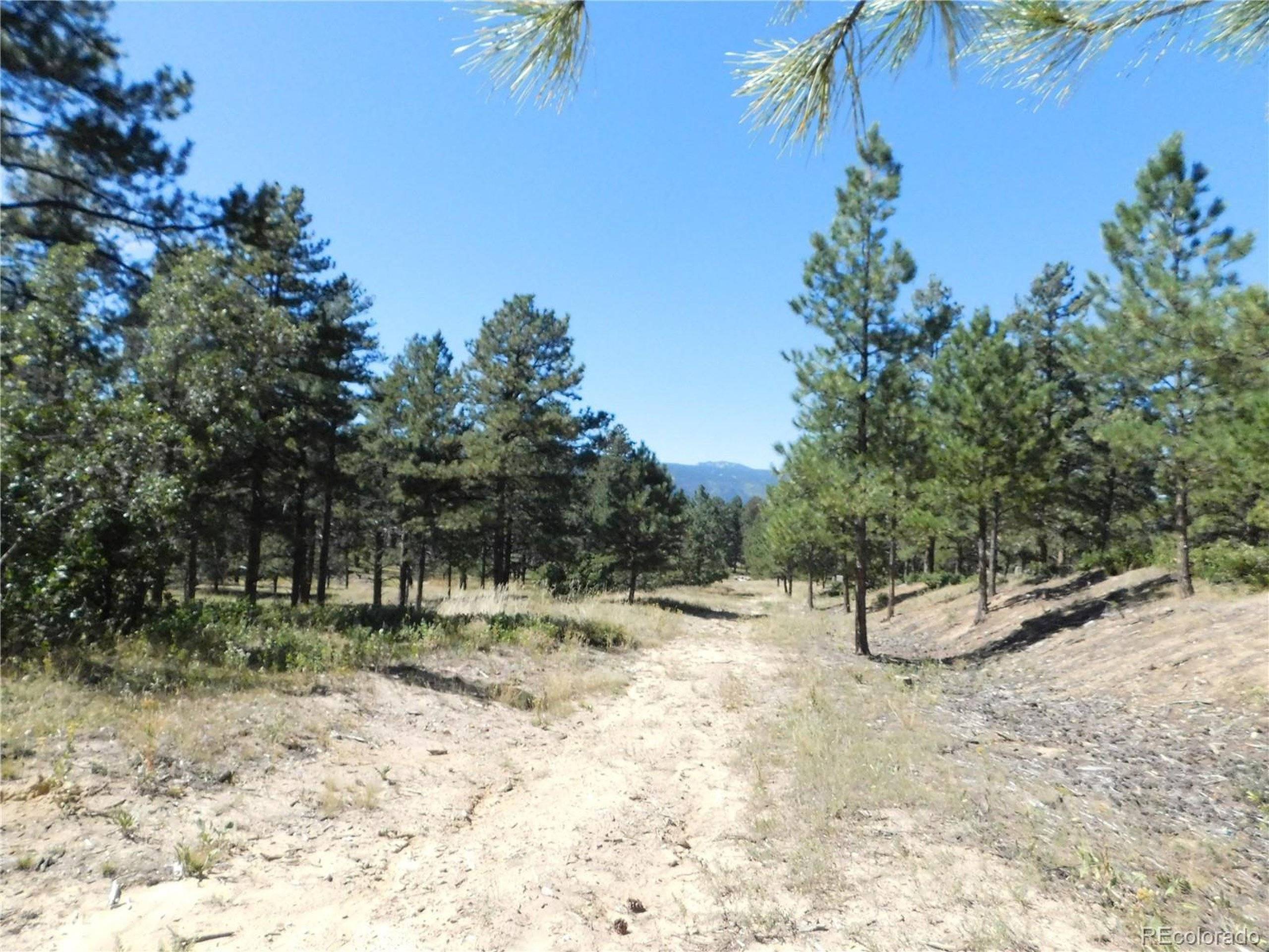 Larkspur, CO 80118,2380 Wood Sorrel Rd