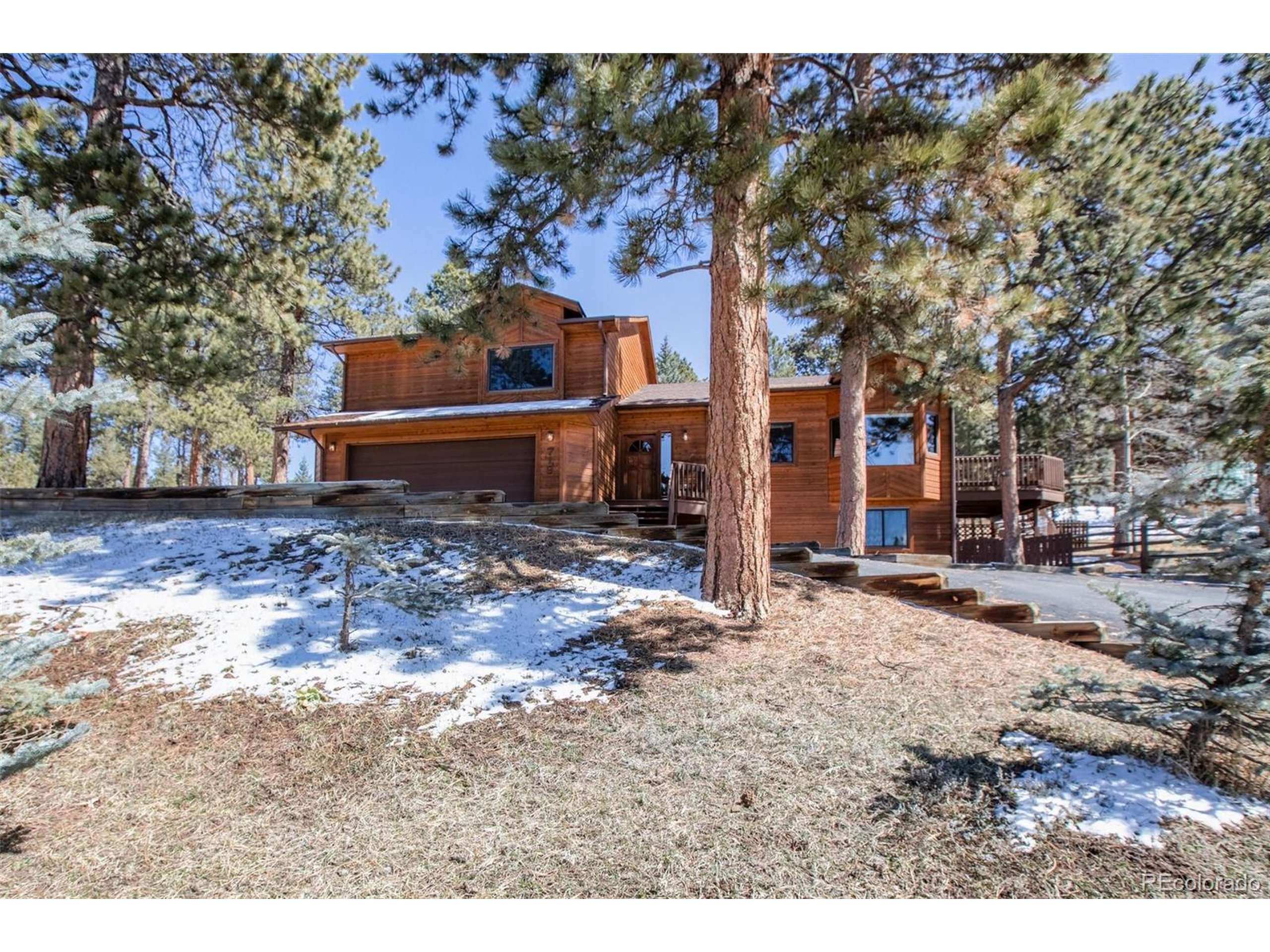 Woodland Park, CO 80863,719 Fox Hill Ct