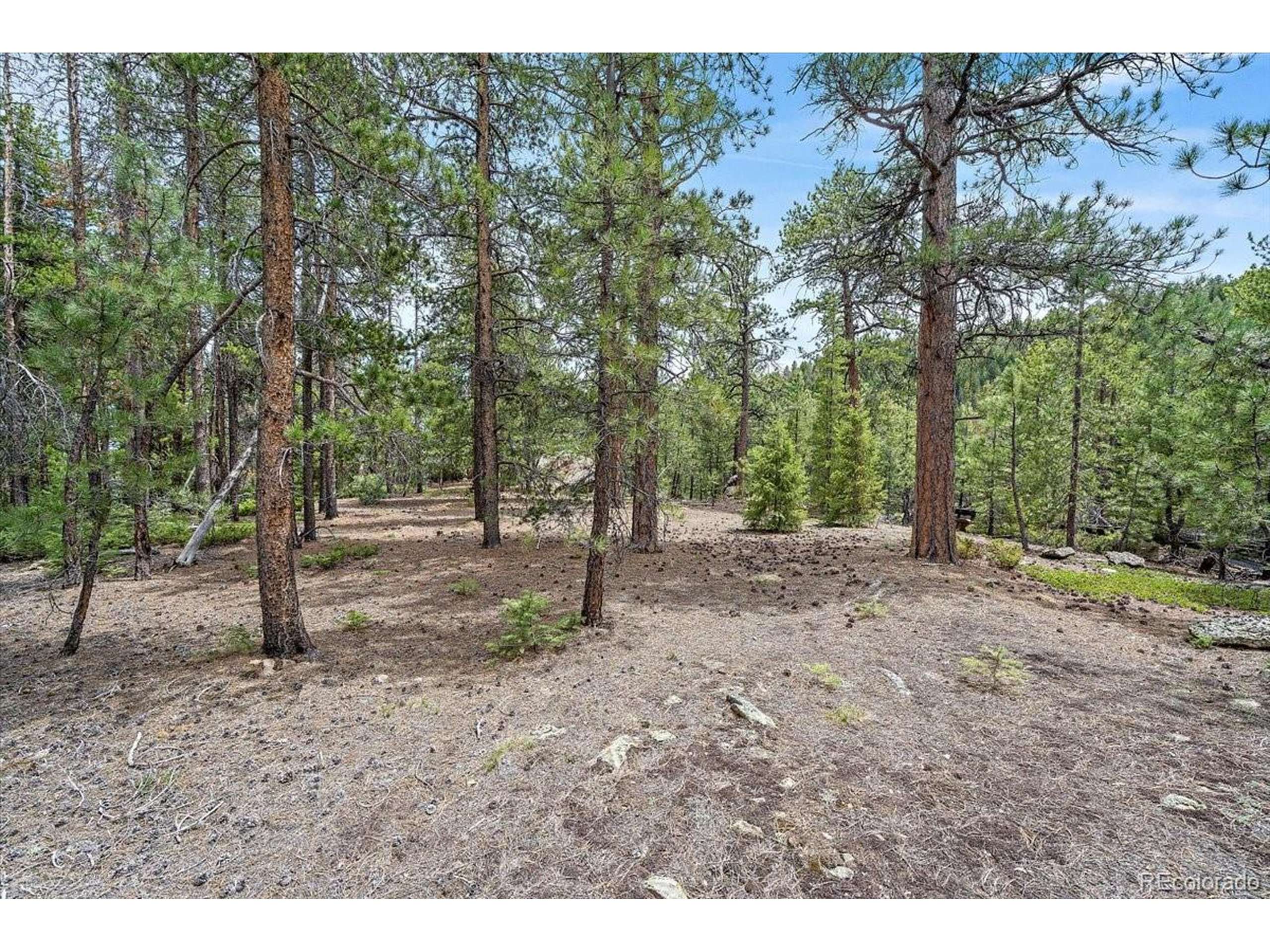 Conifer, CO 80433,0 Indian Springs Rd