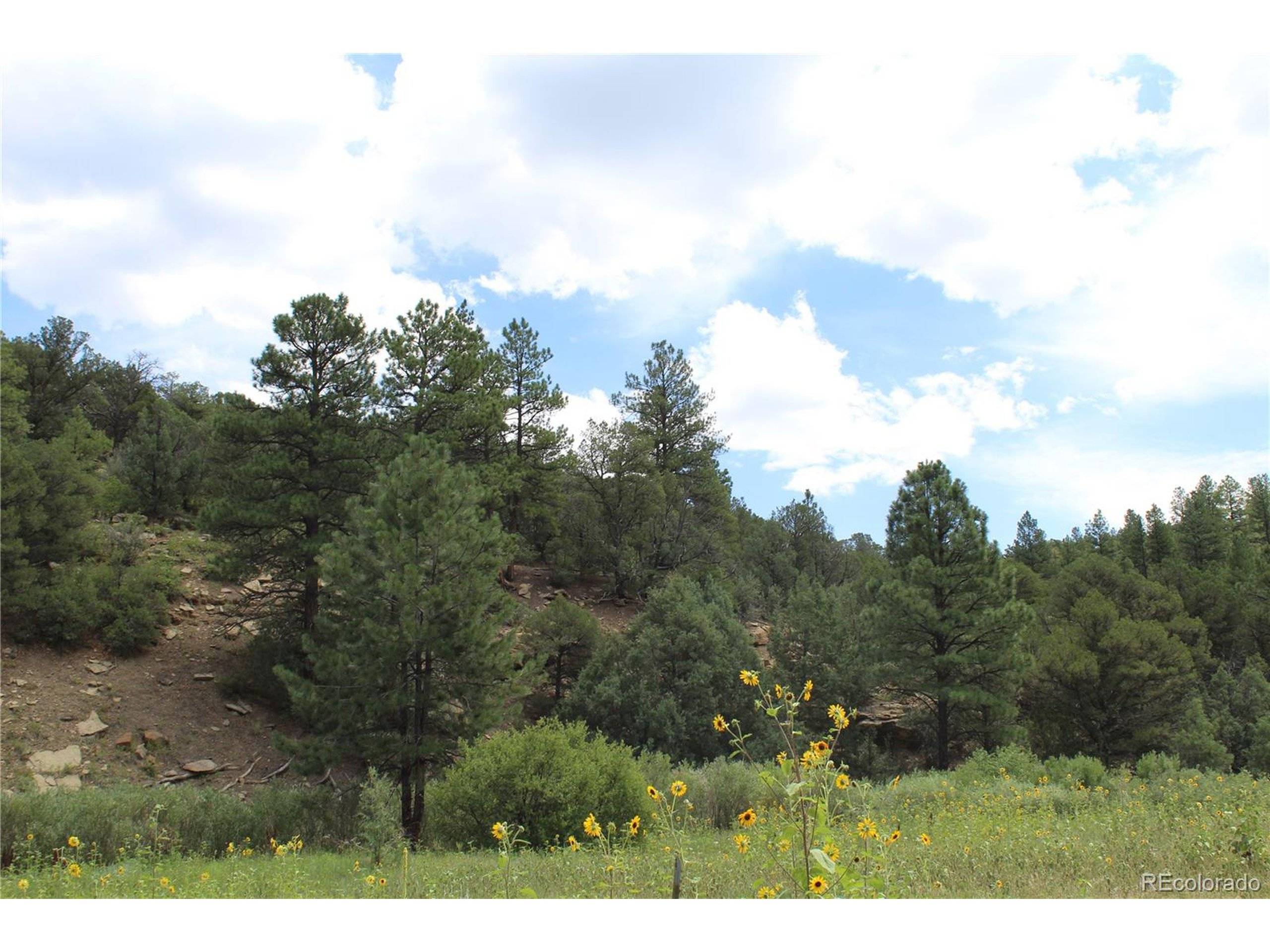 Trinidad, CO 81082,8001 Pavo Canyon Trl