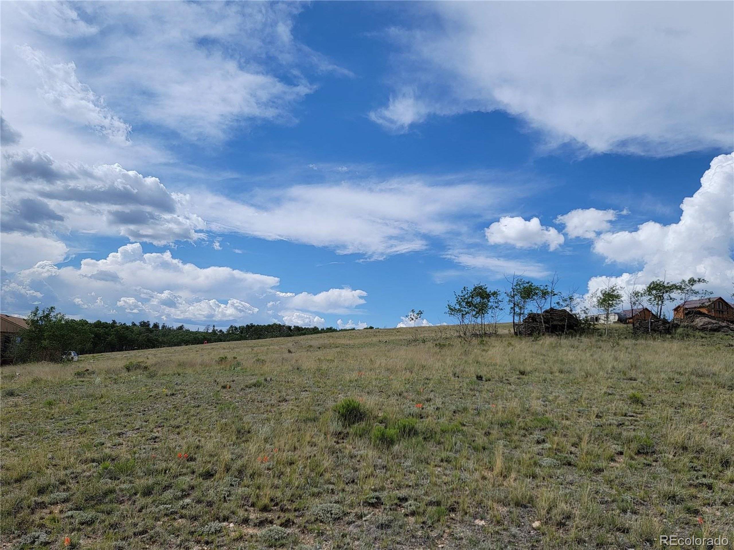 Como, CO 80432,215 Mustang Trl