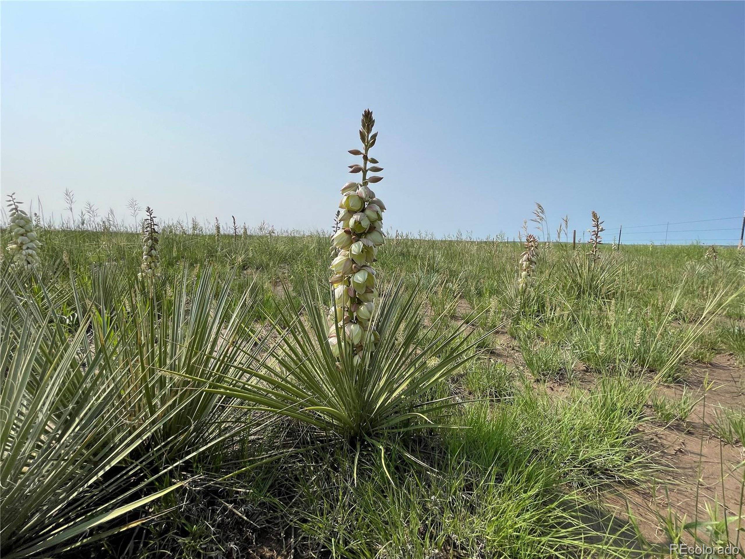 Agate, CO 80105,County Road 166