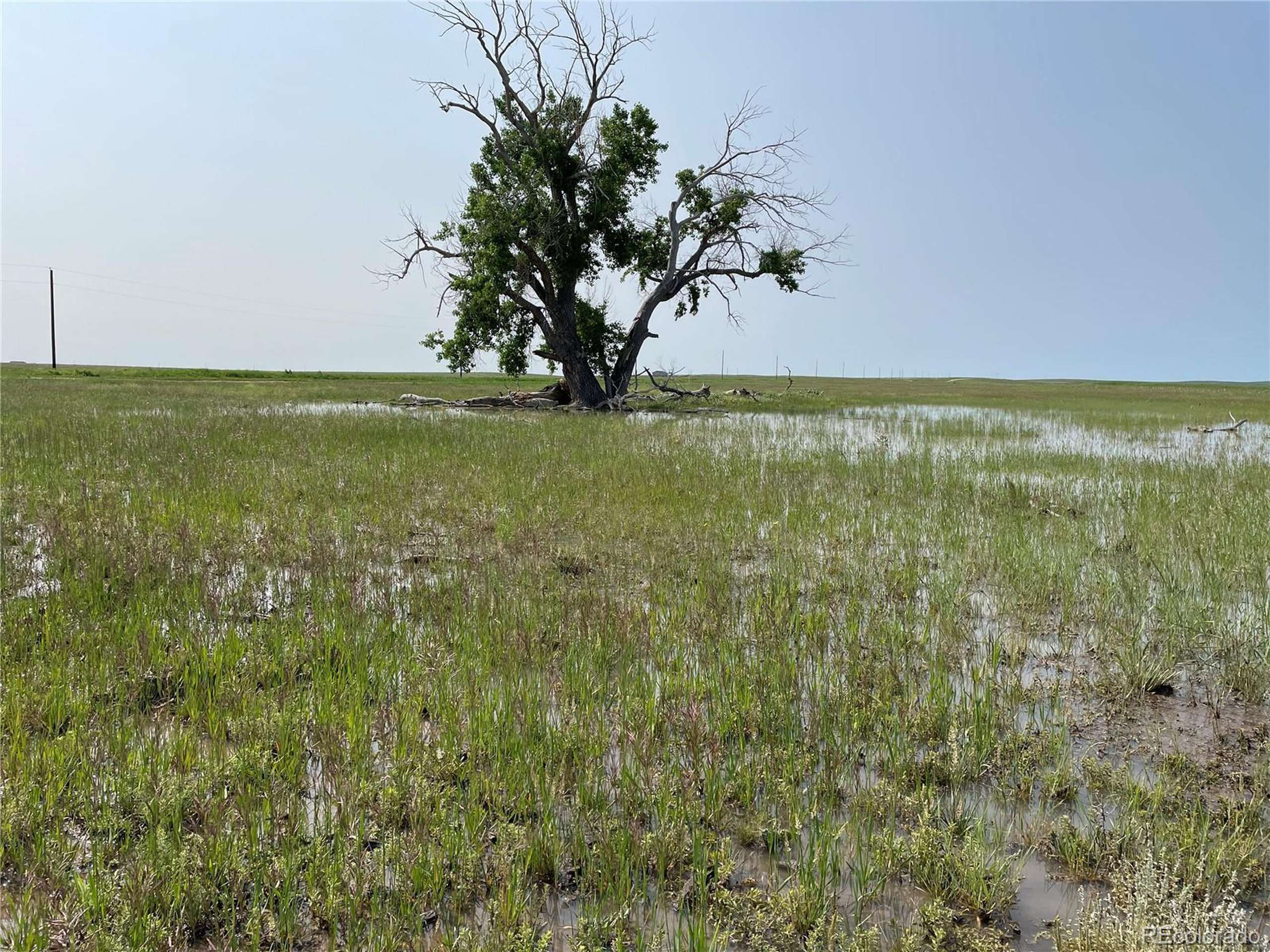 Agate, CO 80105,County Road 166