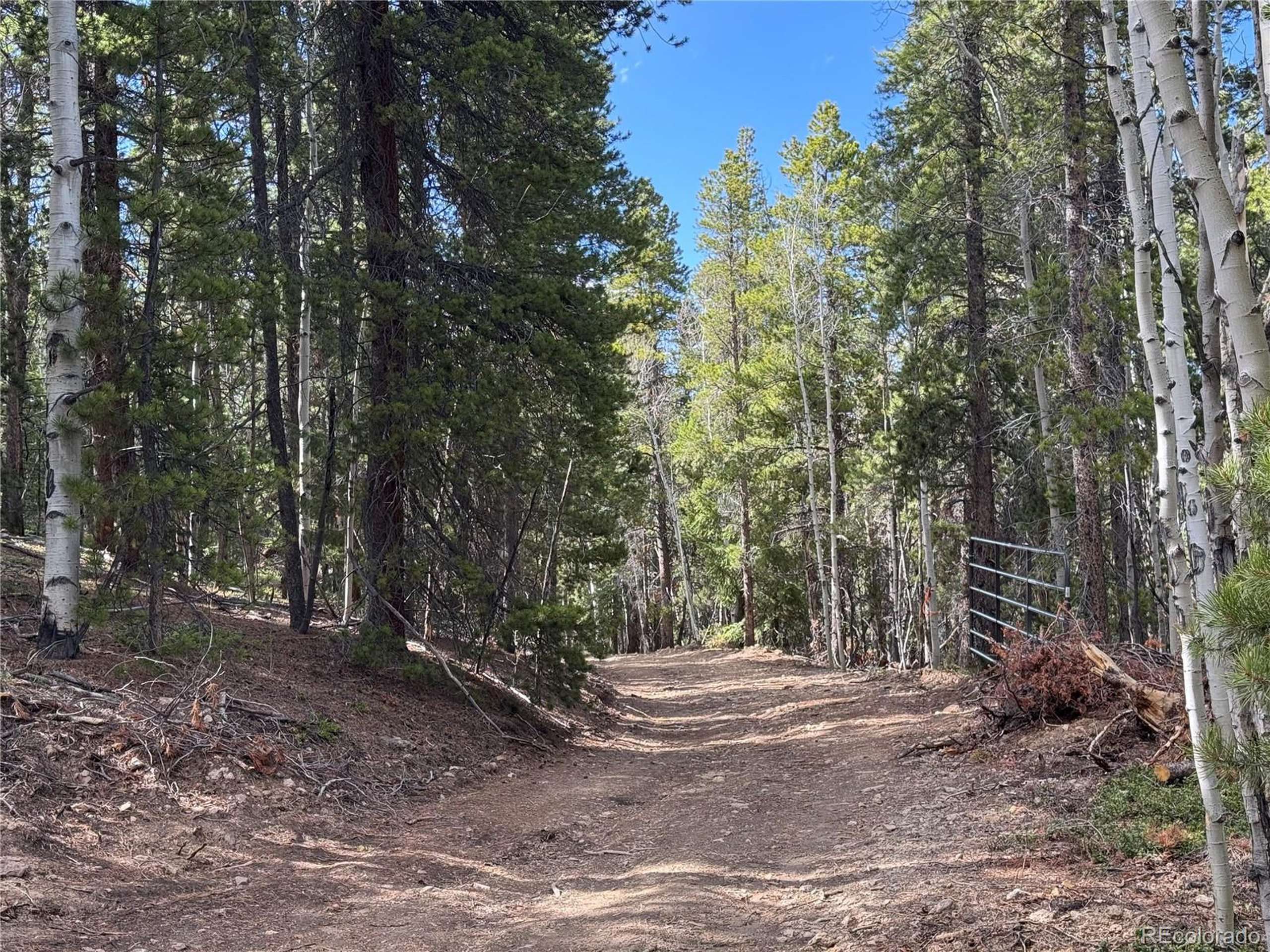 Central City, CO 80427,4 Pewabic Mine Rd