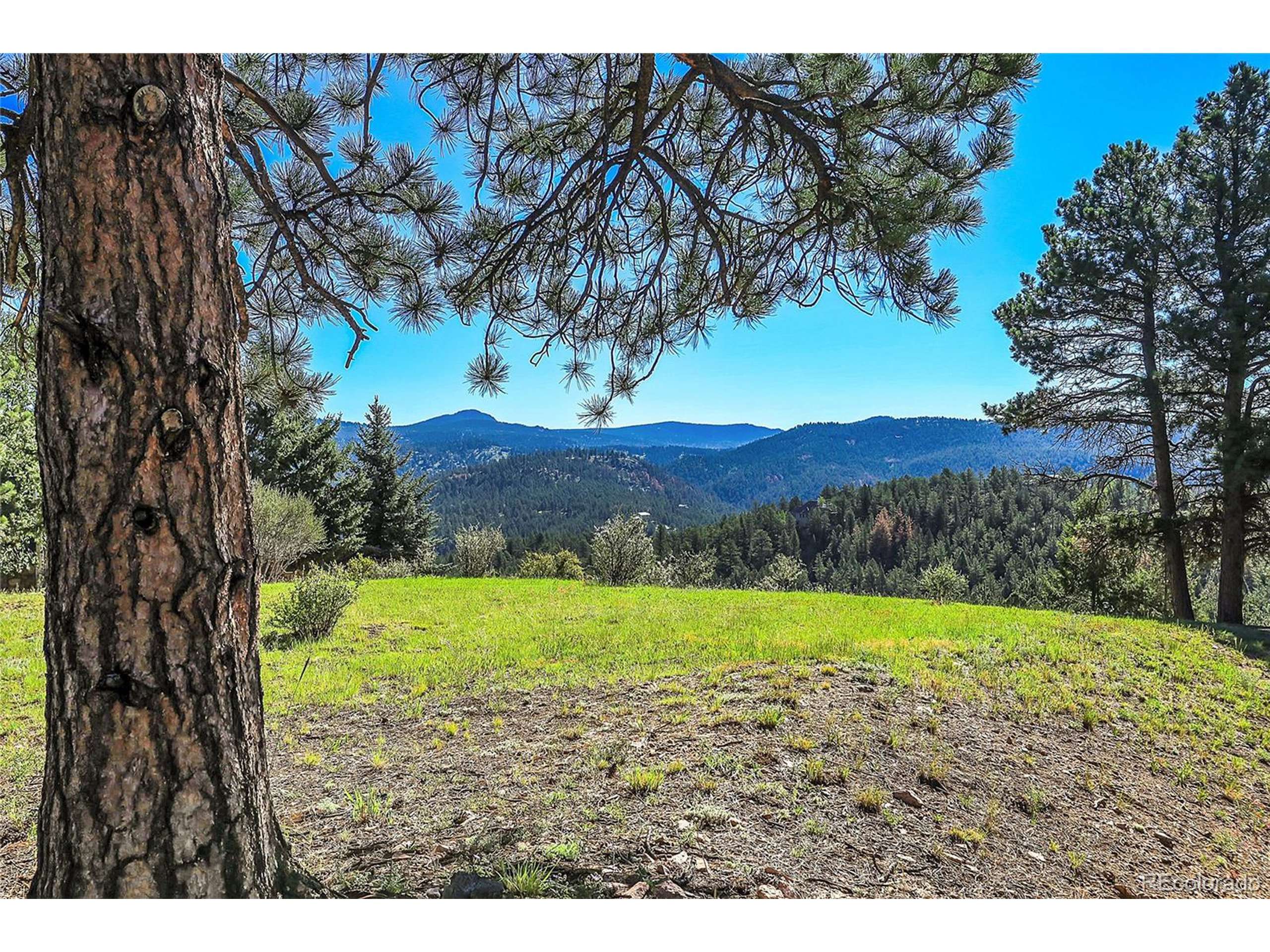 Pine, CO 80470,32555 Meadow Ridge Ln