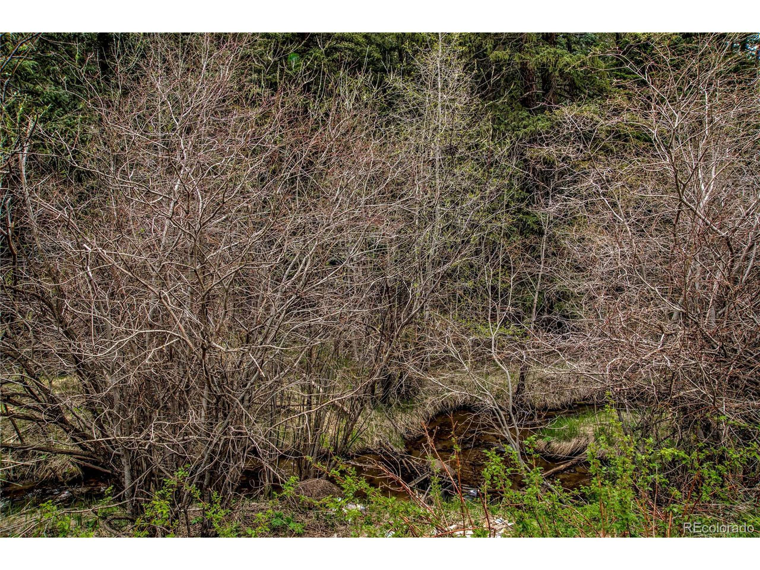 Black Hawk, CO 80422,Beaver Creek