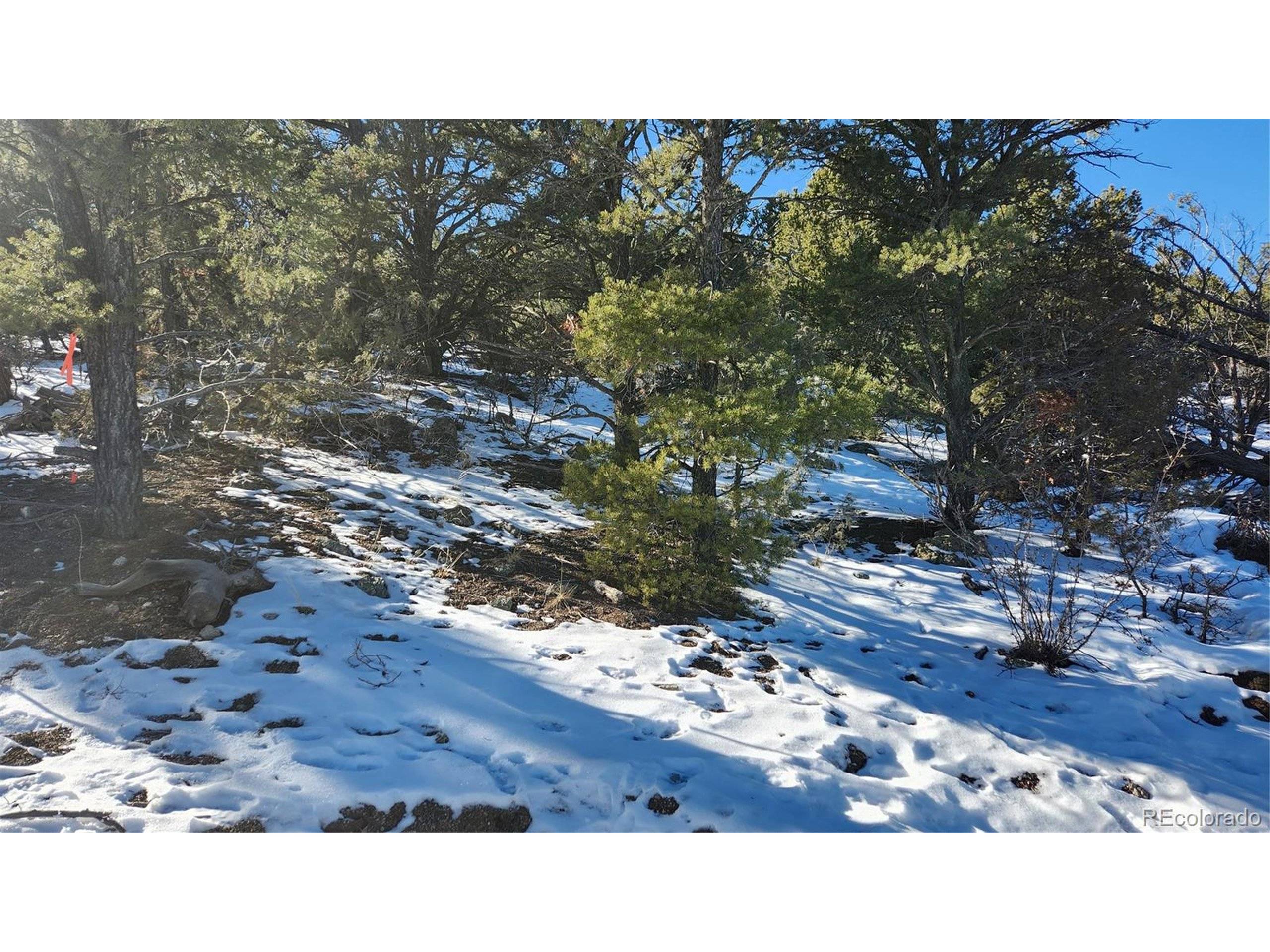 Cotopaxi, CO 81223,35th Trl