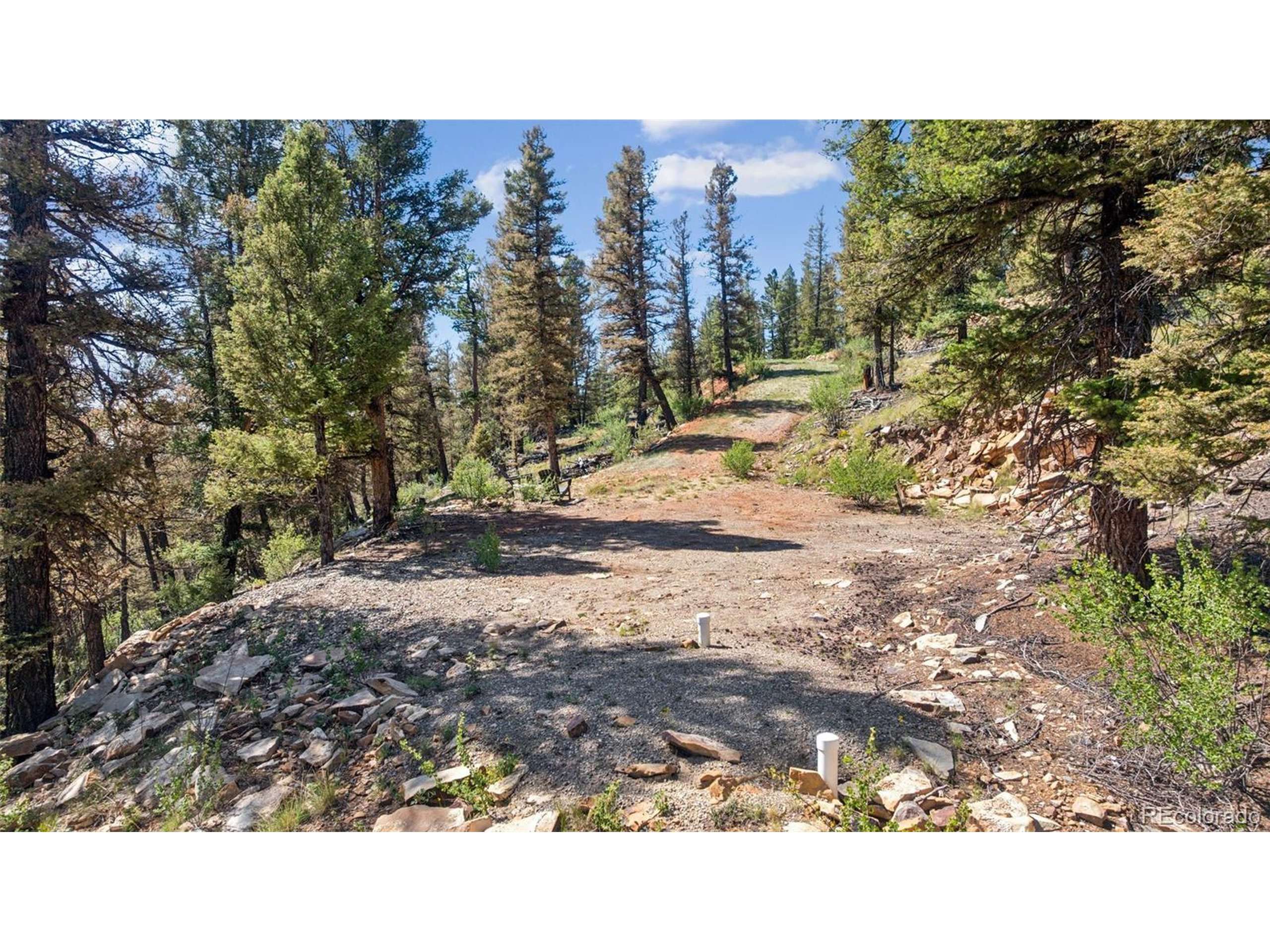 Fairplay, CO 80440,1050 Middle Fork Vis