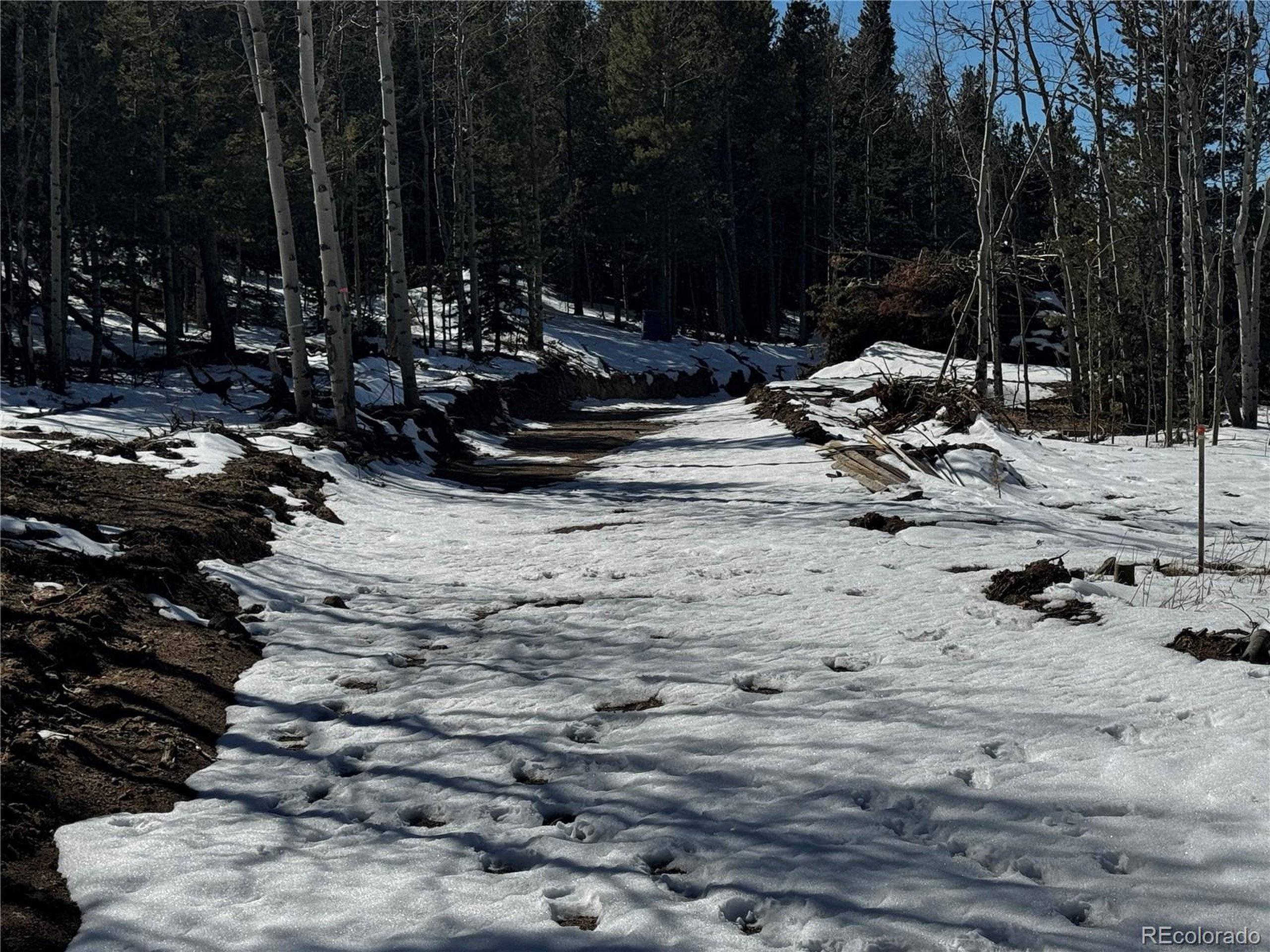 Idaho Springs, CO 80452,1513 Chinook Road