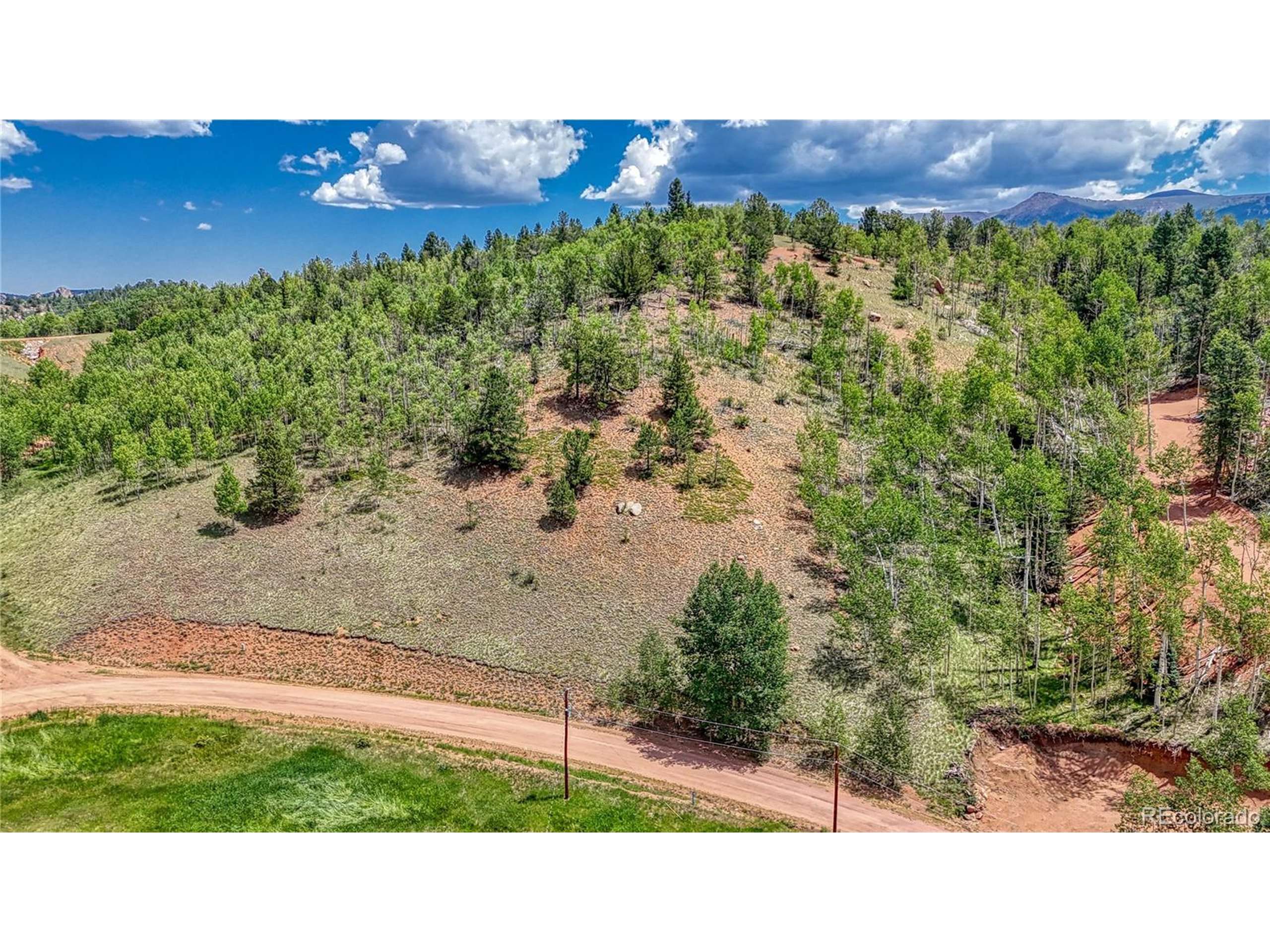 Cripple Creek, CO 80813,348 Granite Ln