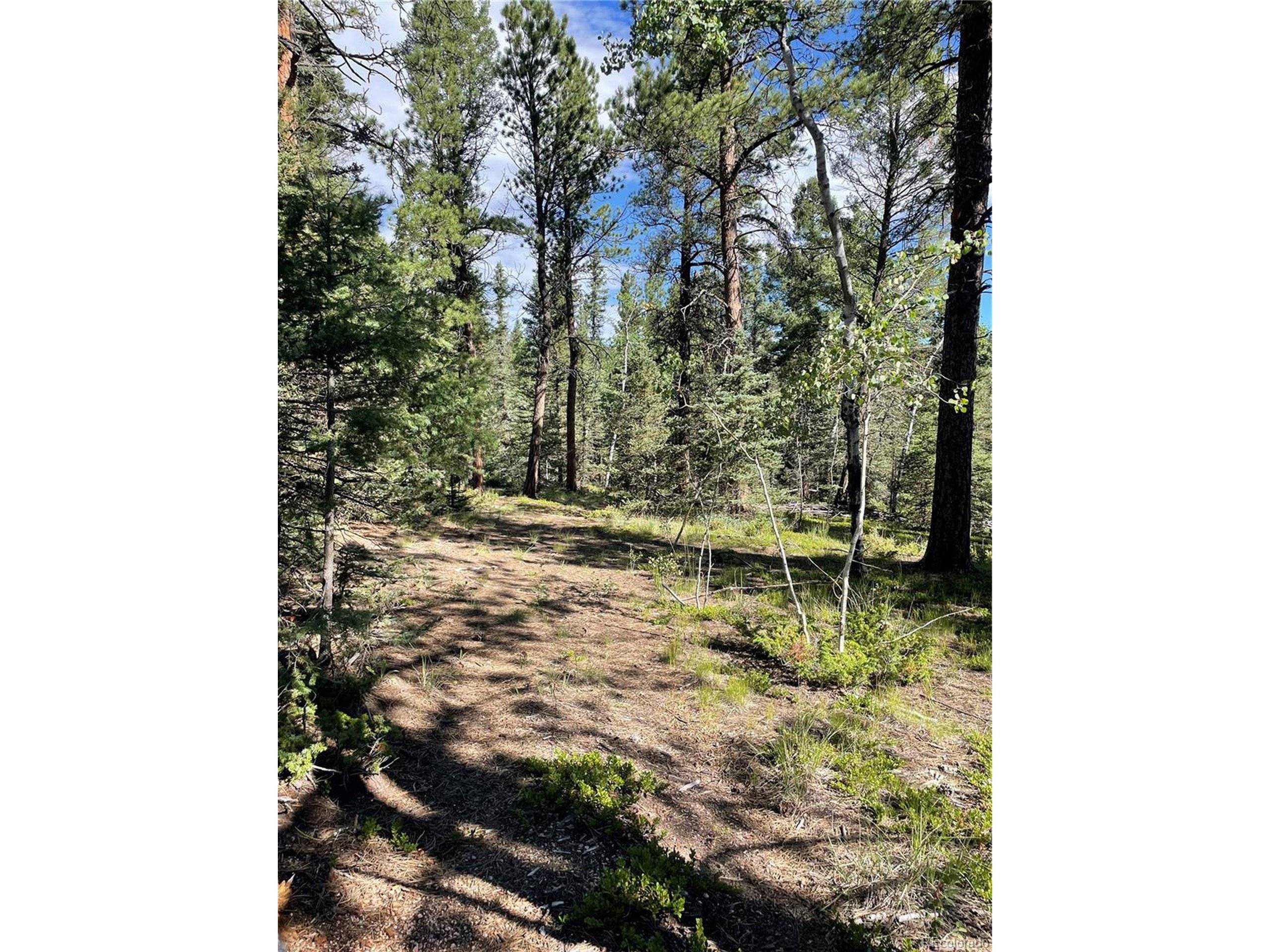 Florissant, CO 80816,464 Saddleback Creek Dr