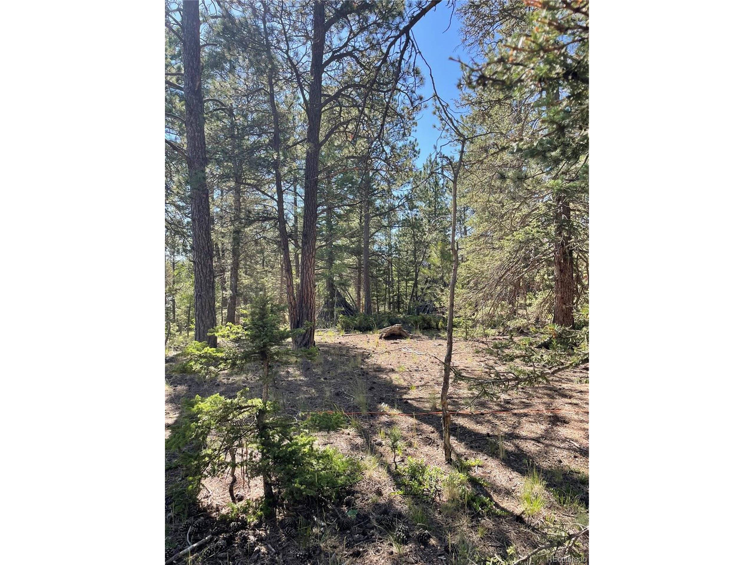 Florissant, CO 80816,464 Saddleback Creek Dr