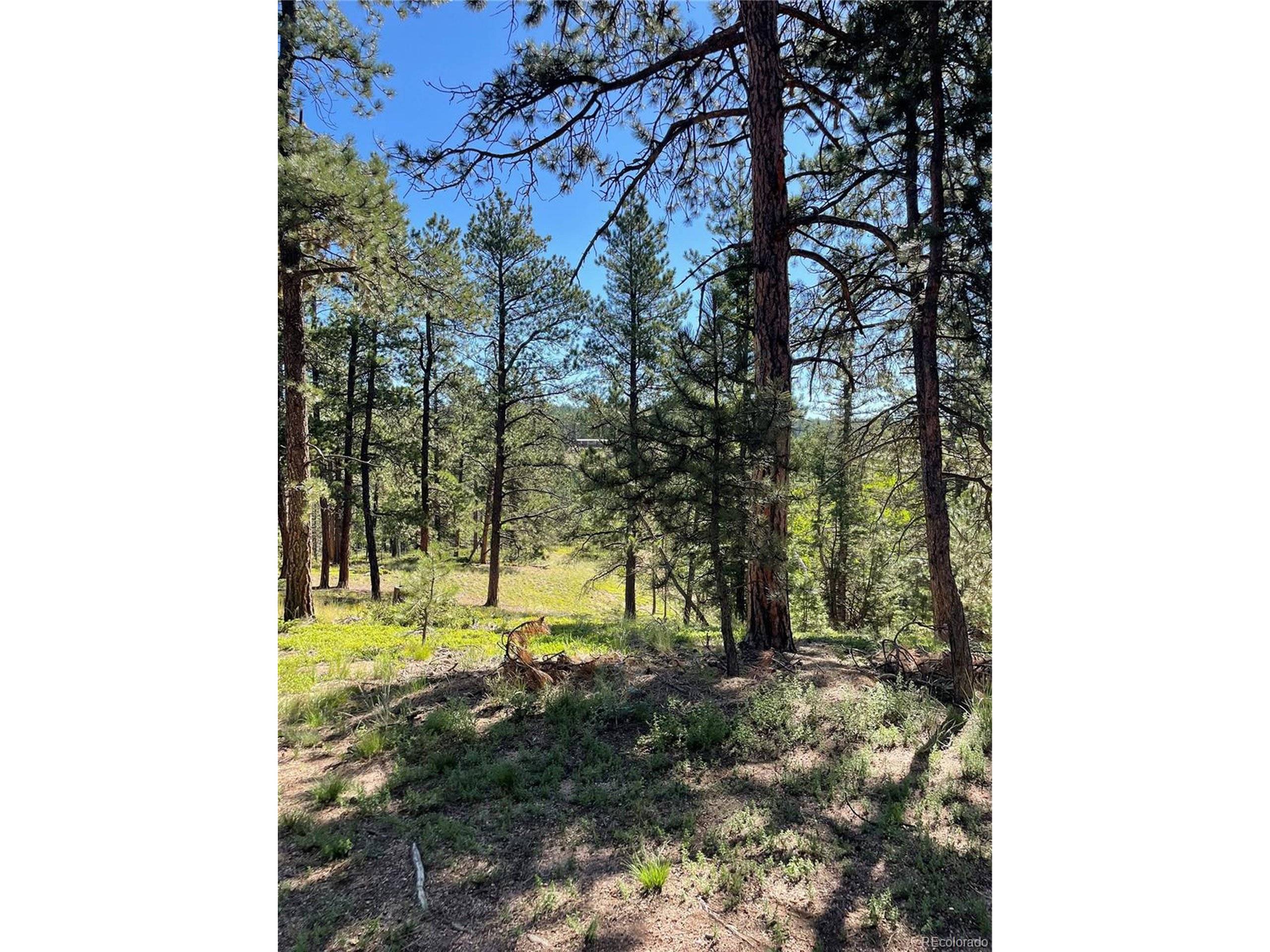 Florissant, CO 80816,464 Saddleback Creek Dr