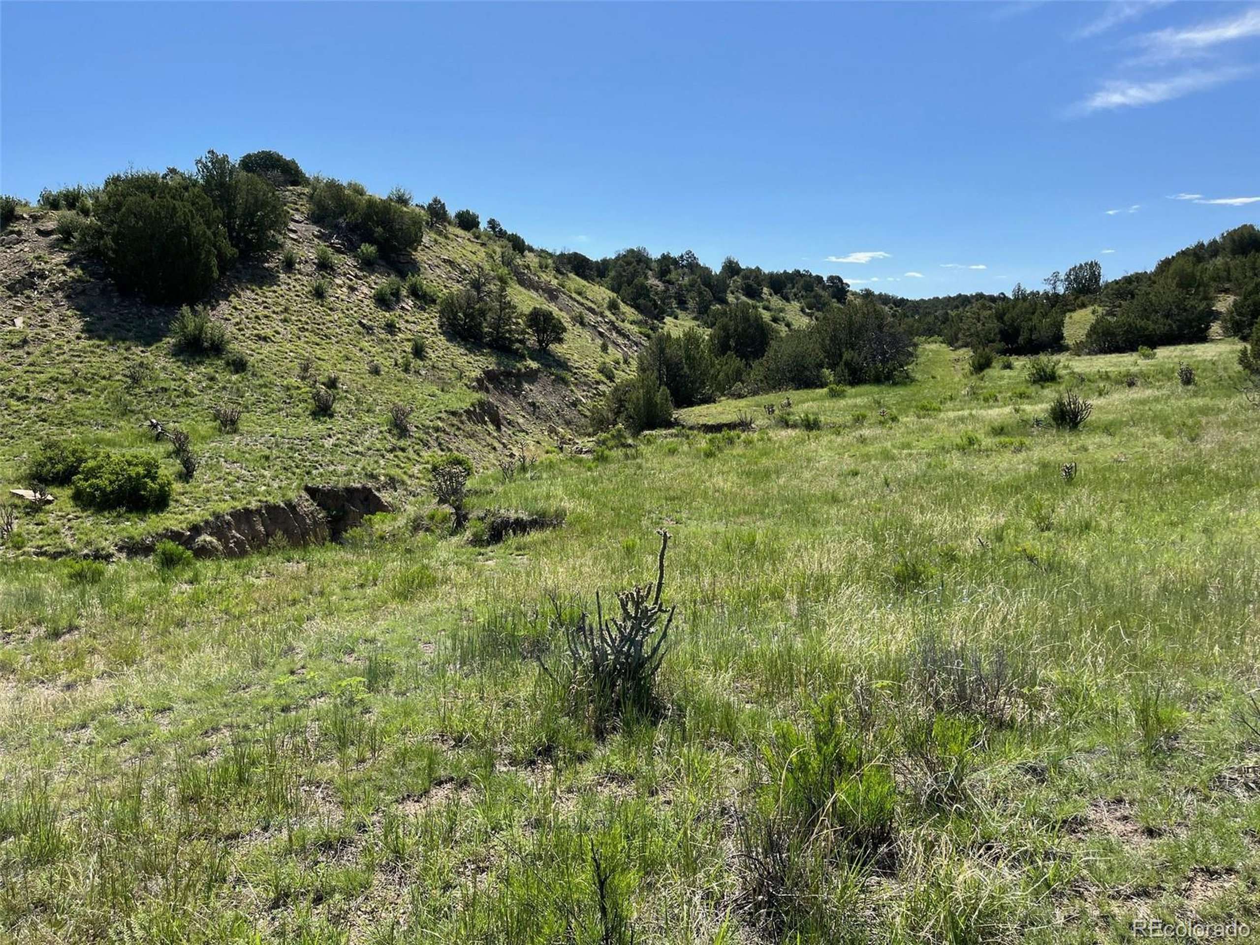 Pueblo, CO 81004,0 Railroad Springs Rd