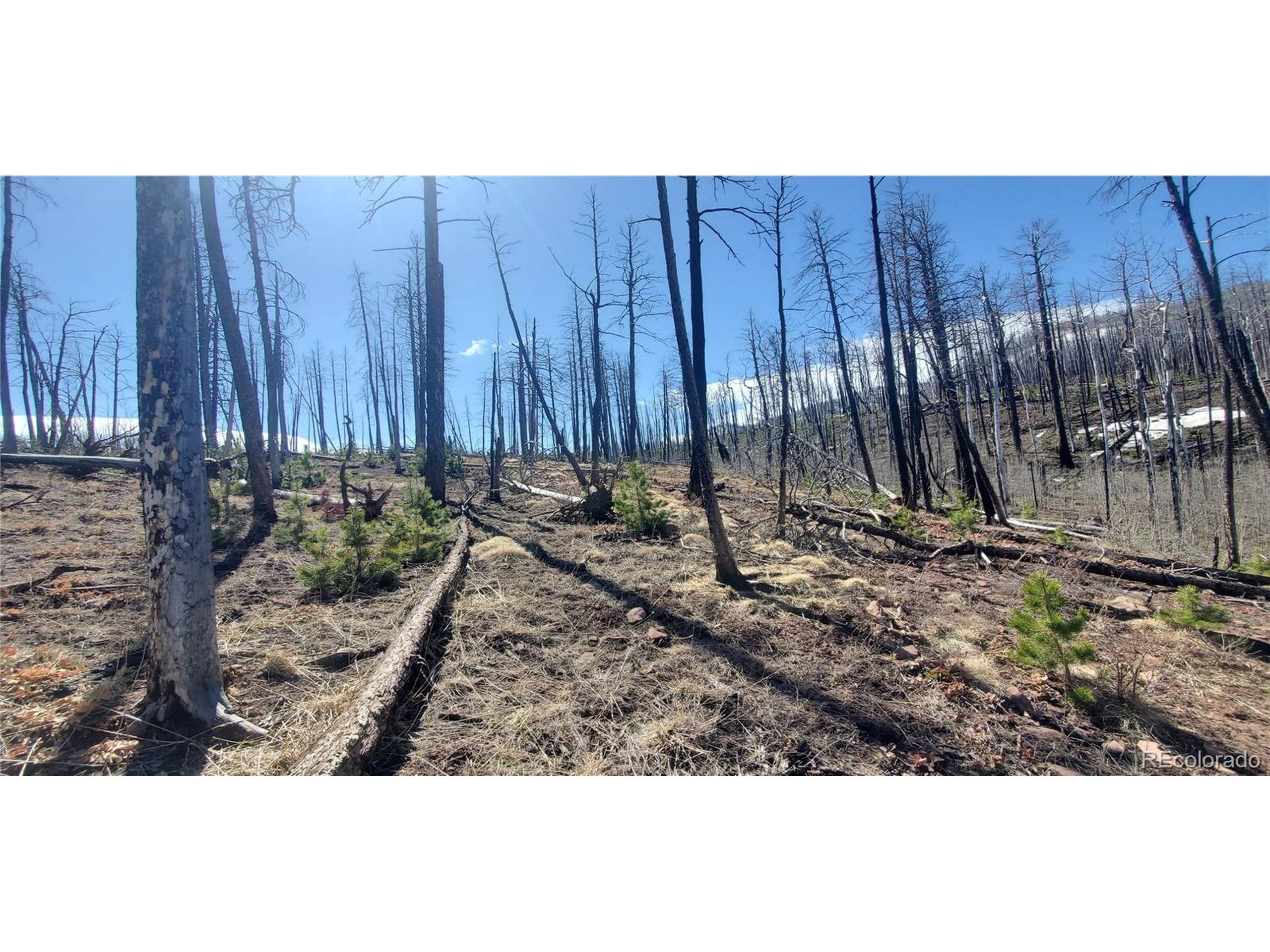 Fort Garland, CO 81133,854 Slaoui Pl