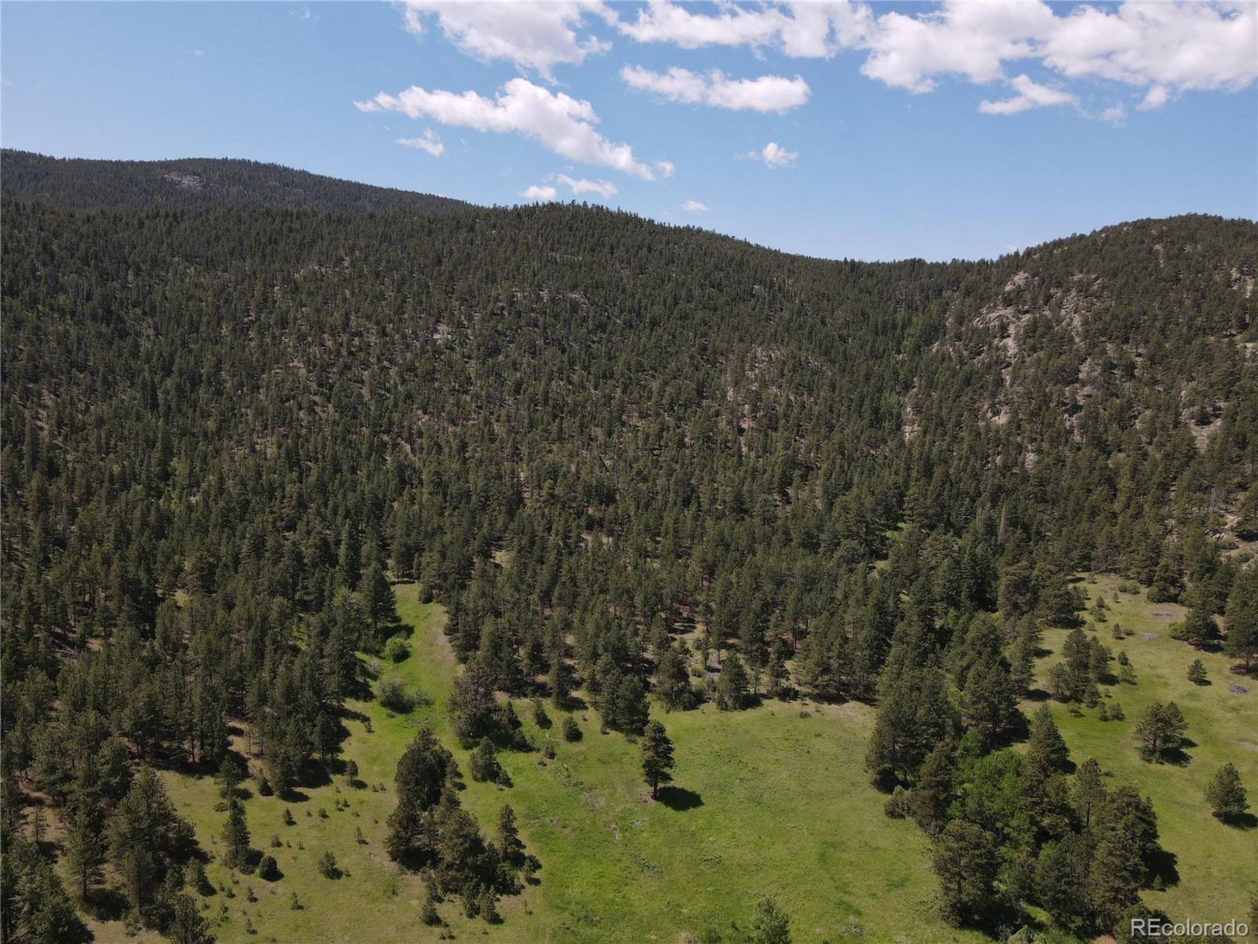 Drake, CO 80515,591599 Soul Shine Rd