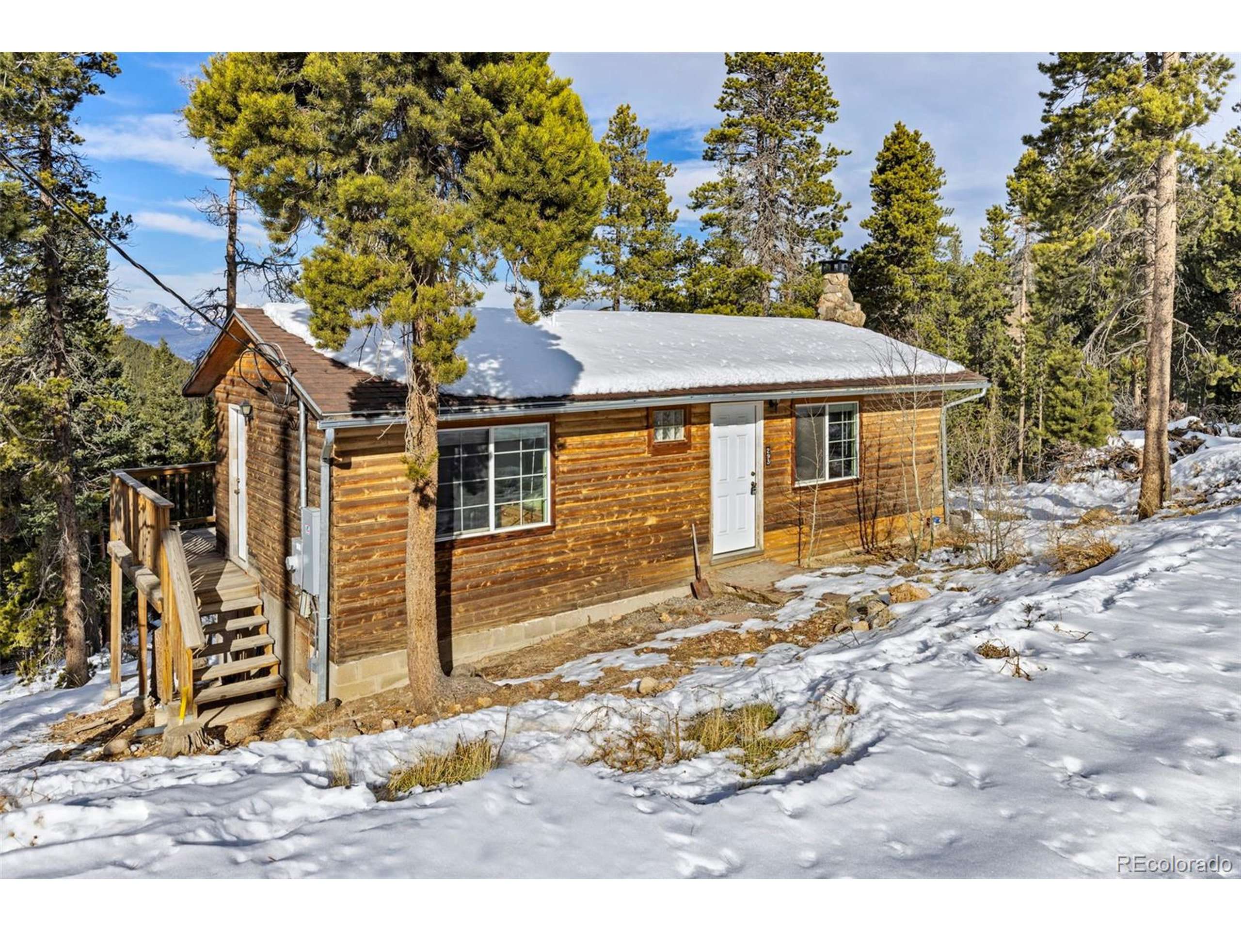 Idaho Springs, CO 80452,293 Mountain View Dr