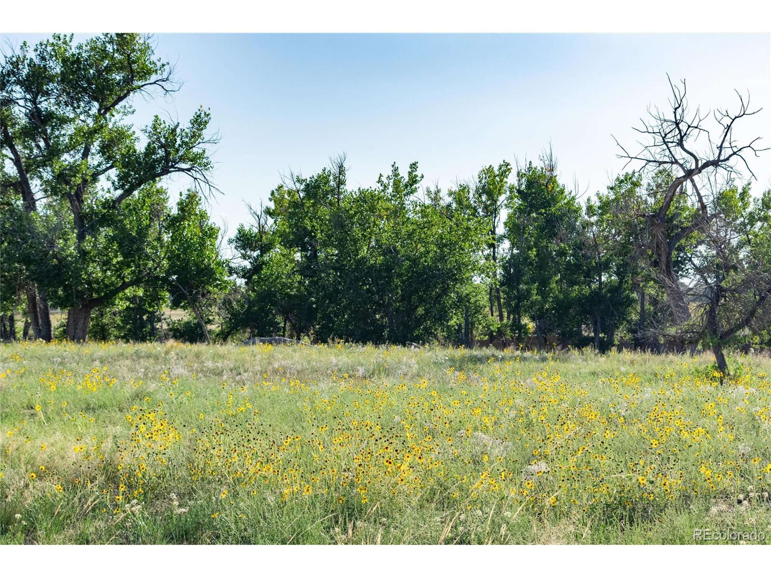 Ramah, CO 80832,Parcel B W County Road 105