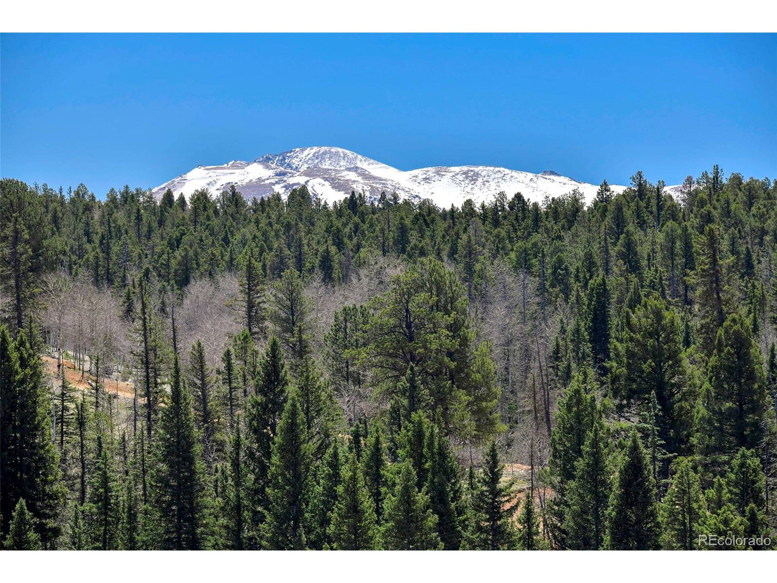 Florissant, CO 80816,40 Blackhawk Creek Dr