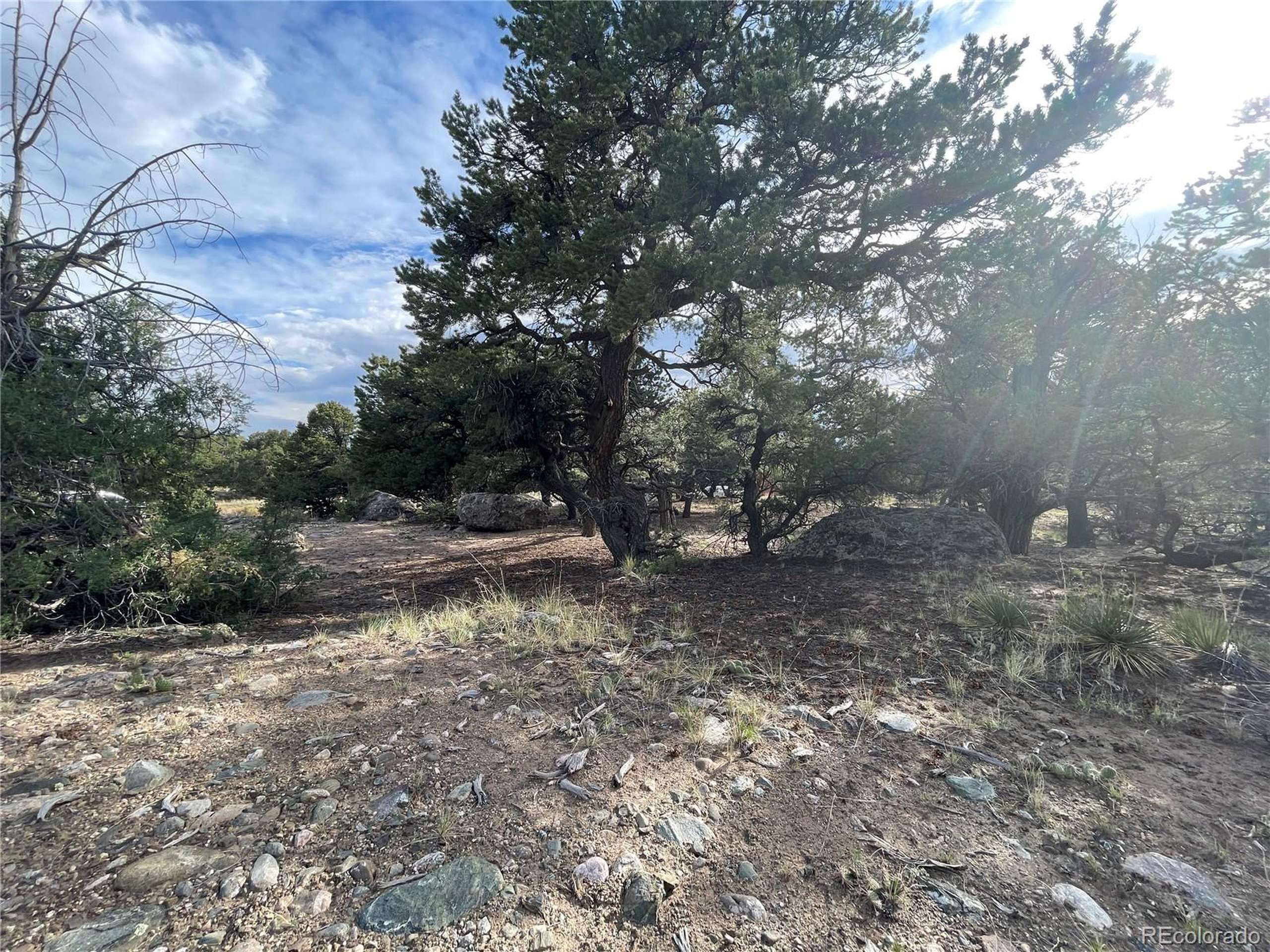 Crestone, CO 81131,3611 Splendid Ter