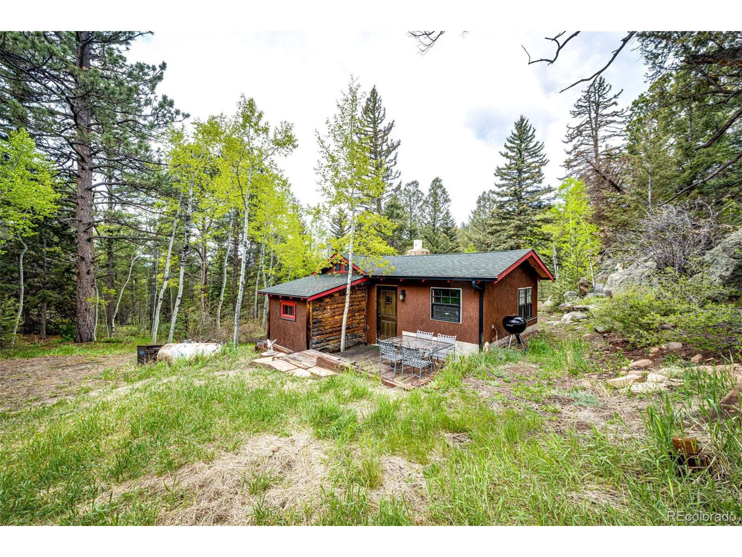 Conifer, CO 80433,12346 Bear Haven Rd