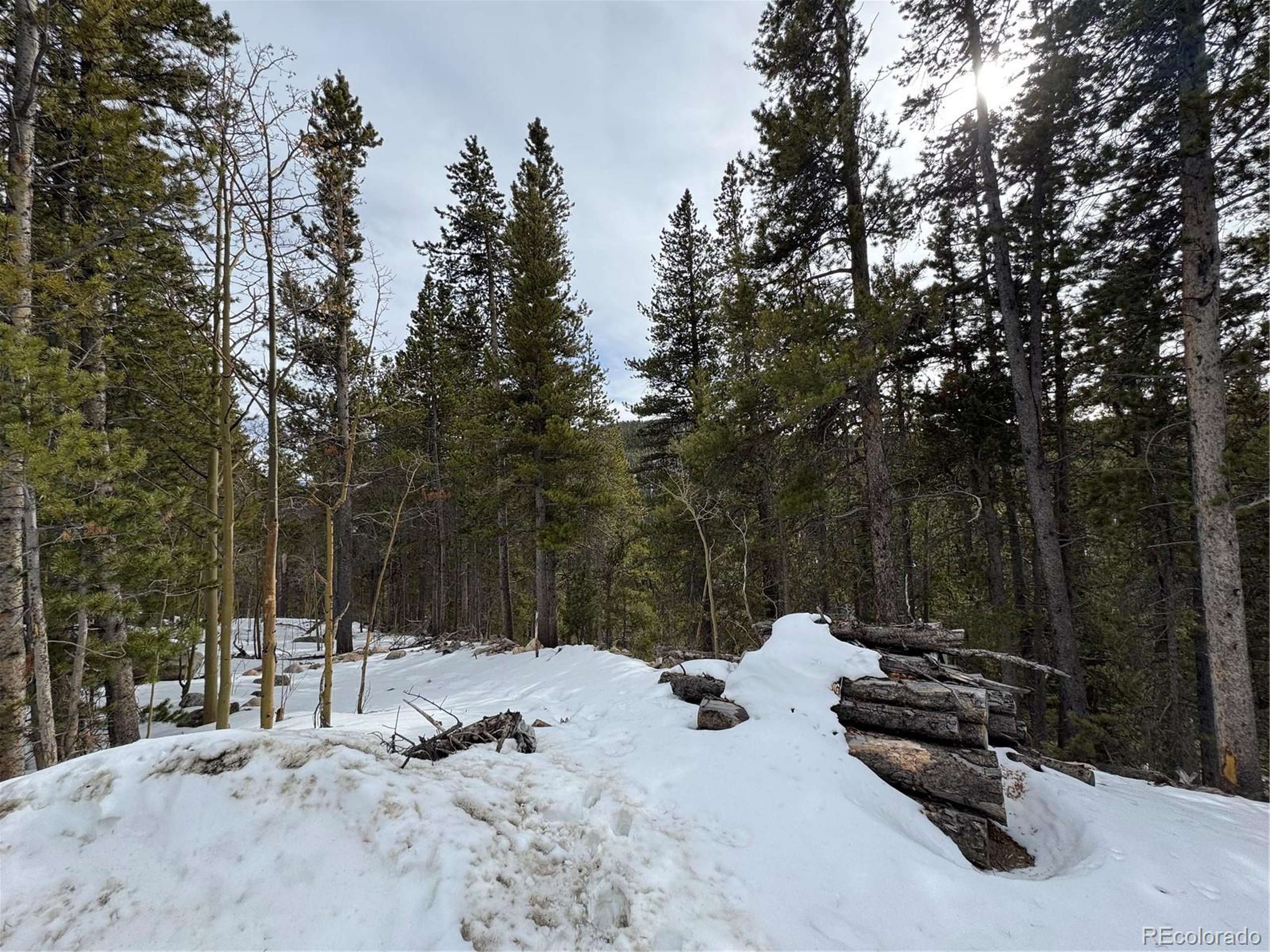 Idaho Springs, CO 80452,649 Vista Rd